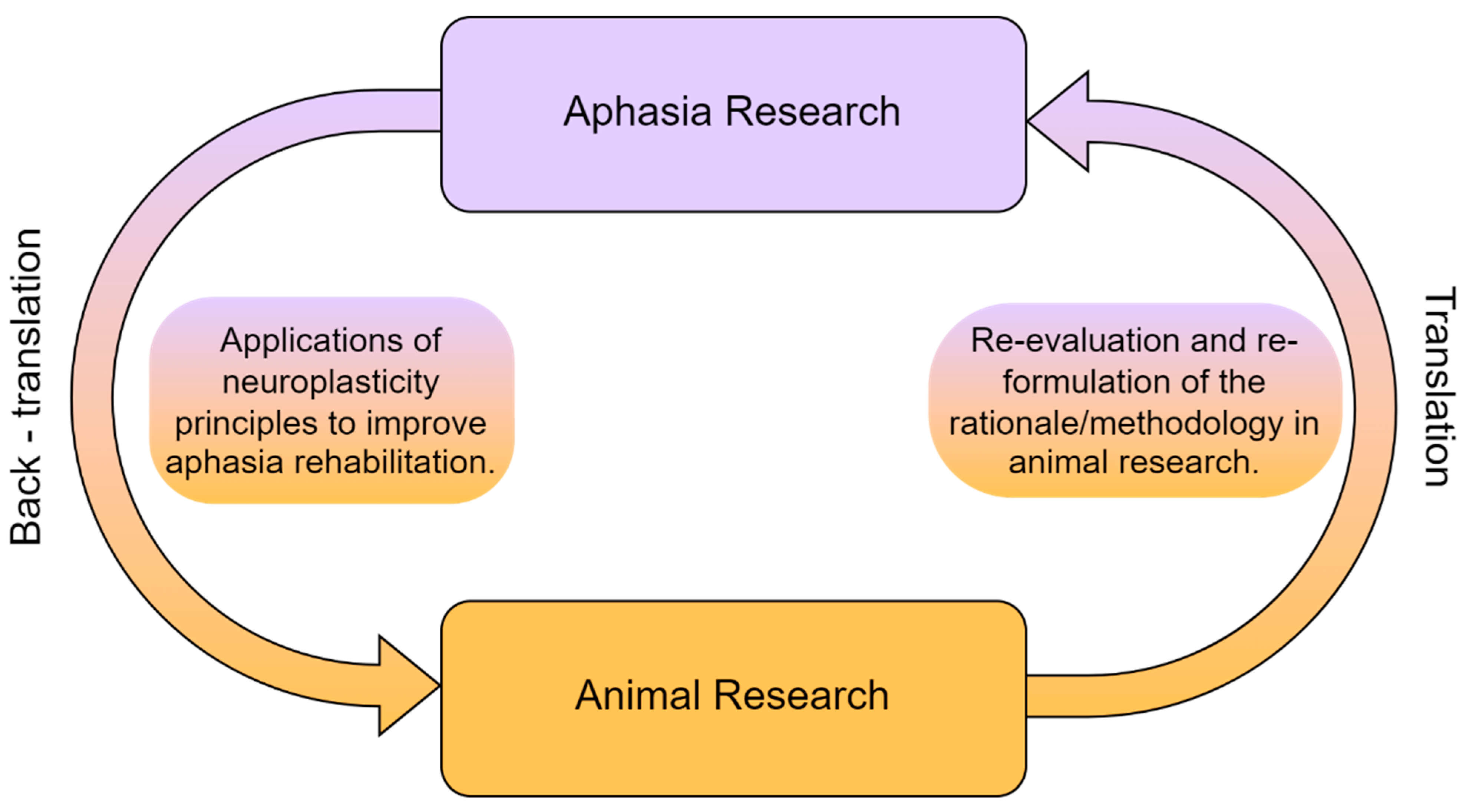 Biomedicines 11 02856 g001