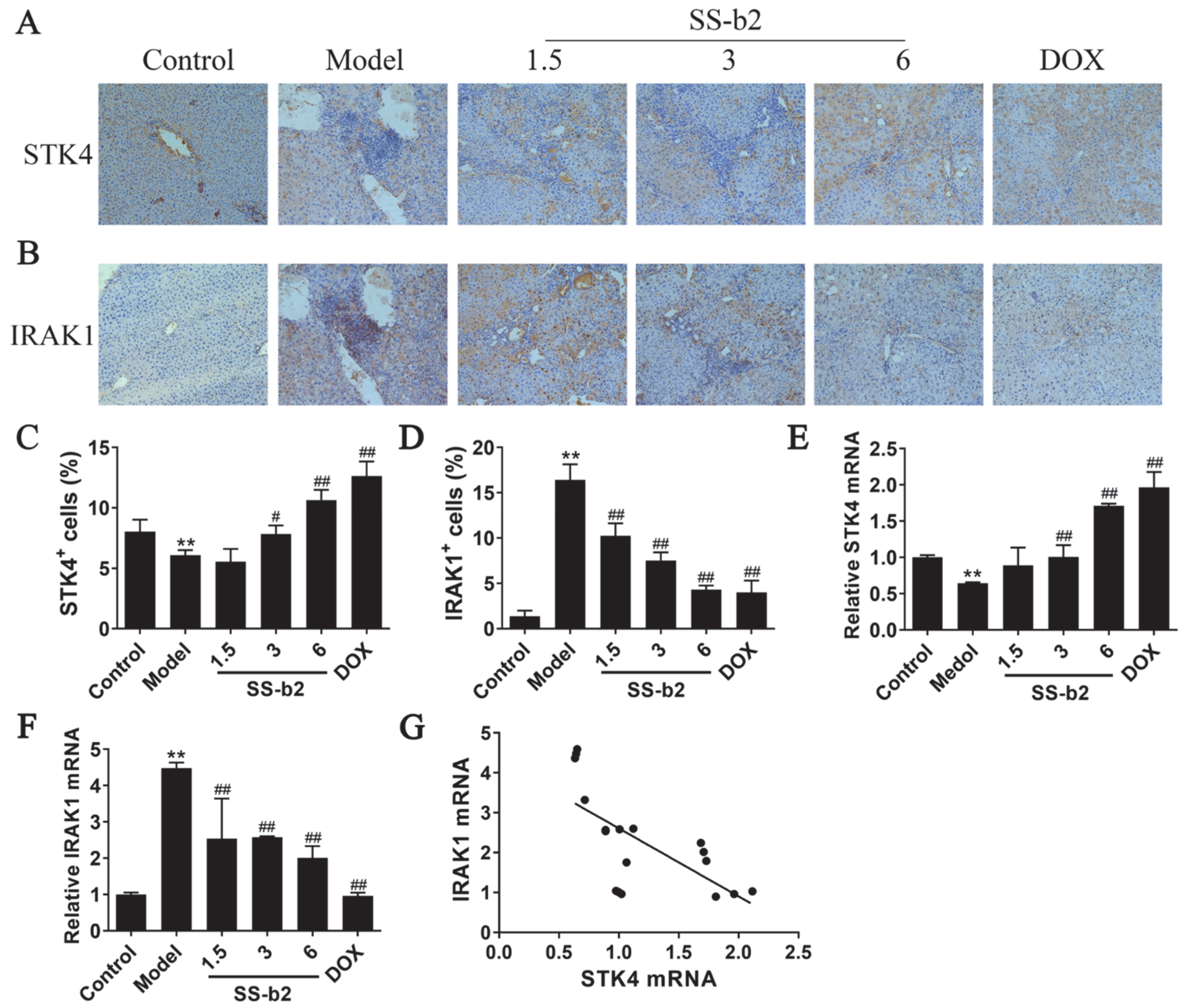 Biomedicines 11 02859 g002