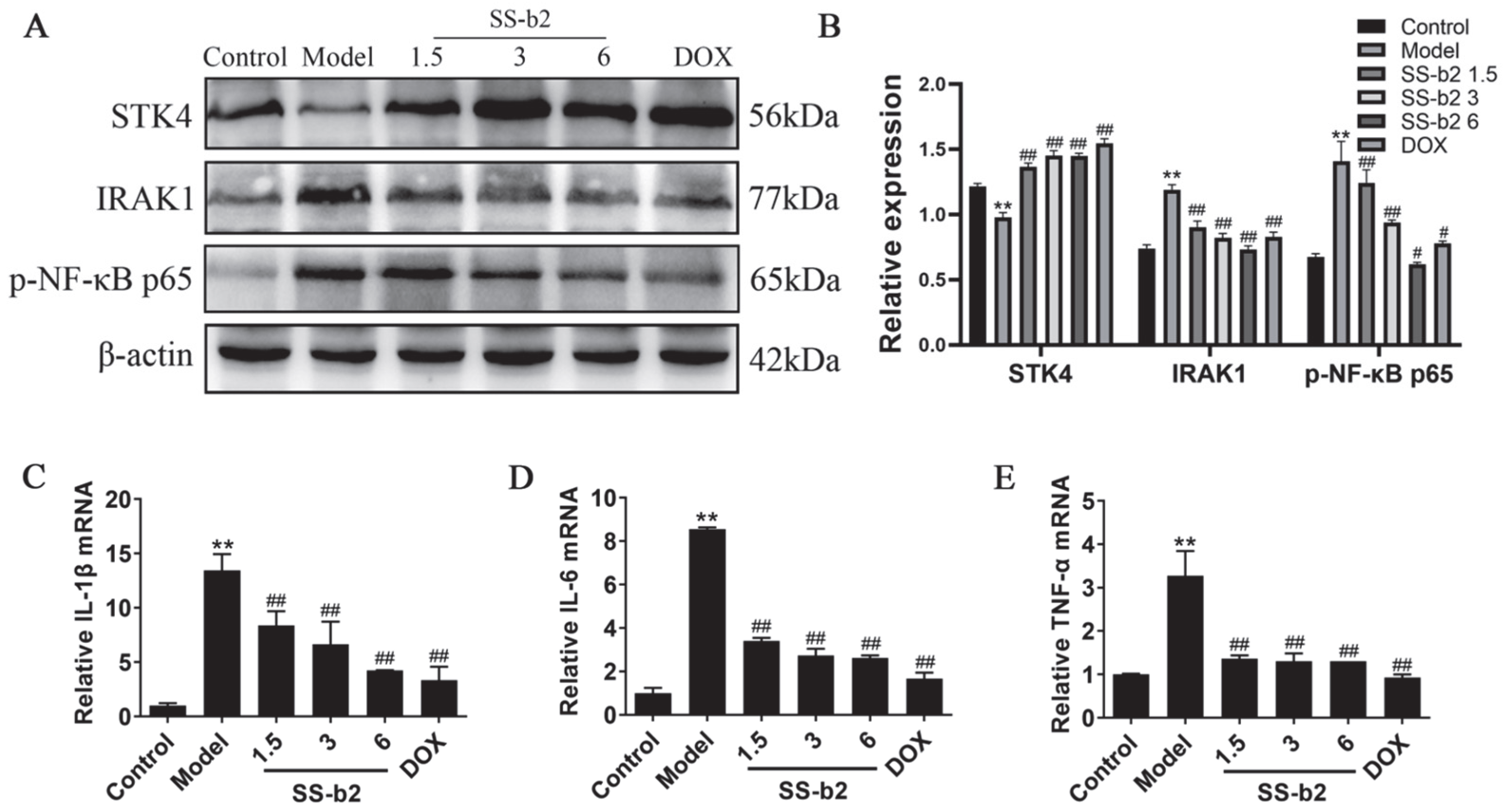Biomedicines 11 02859 g003