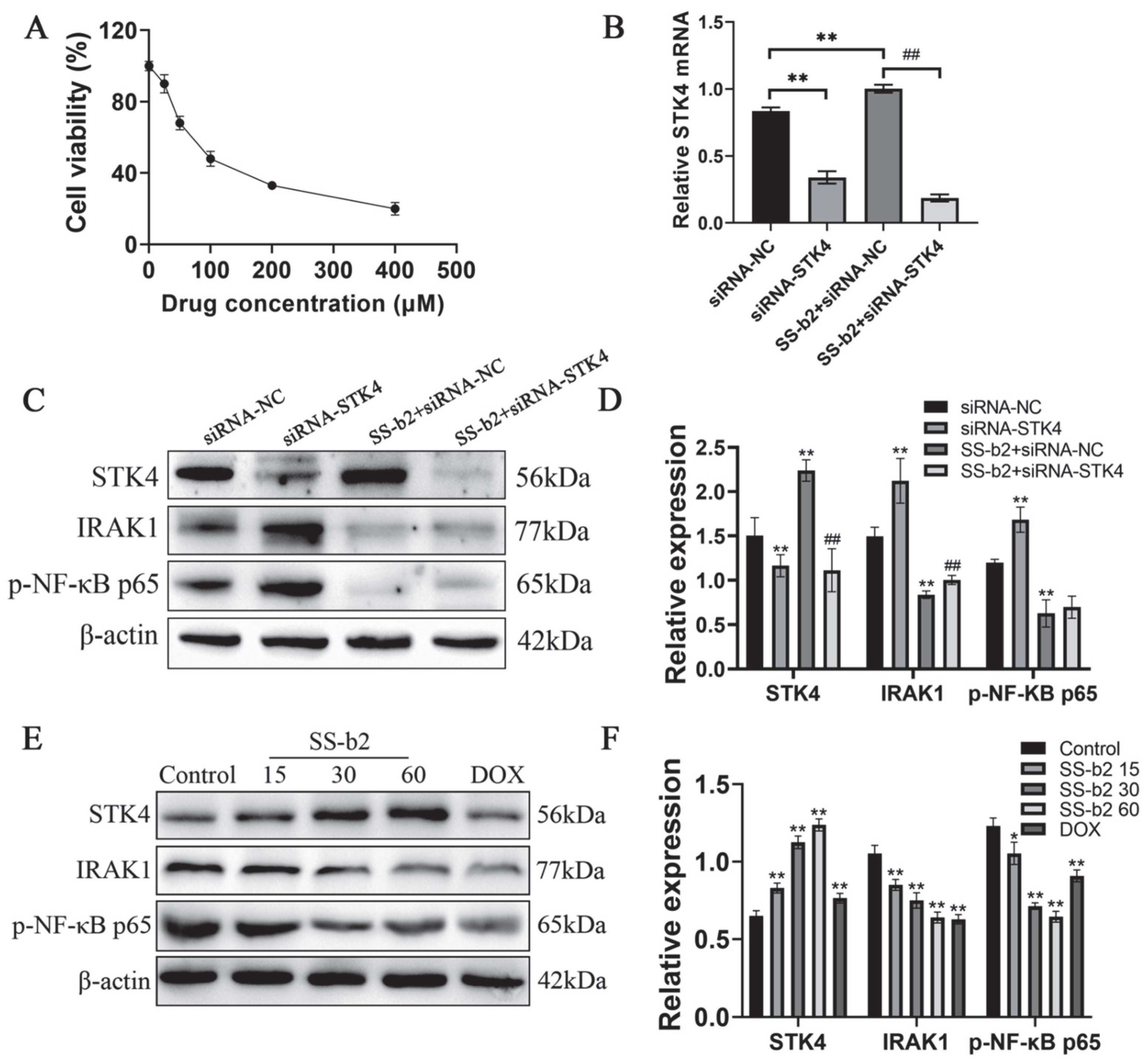 Biomedicines 11 02859 g004