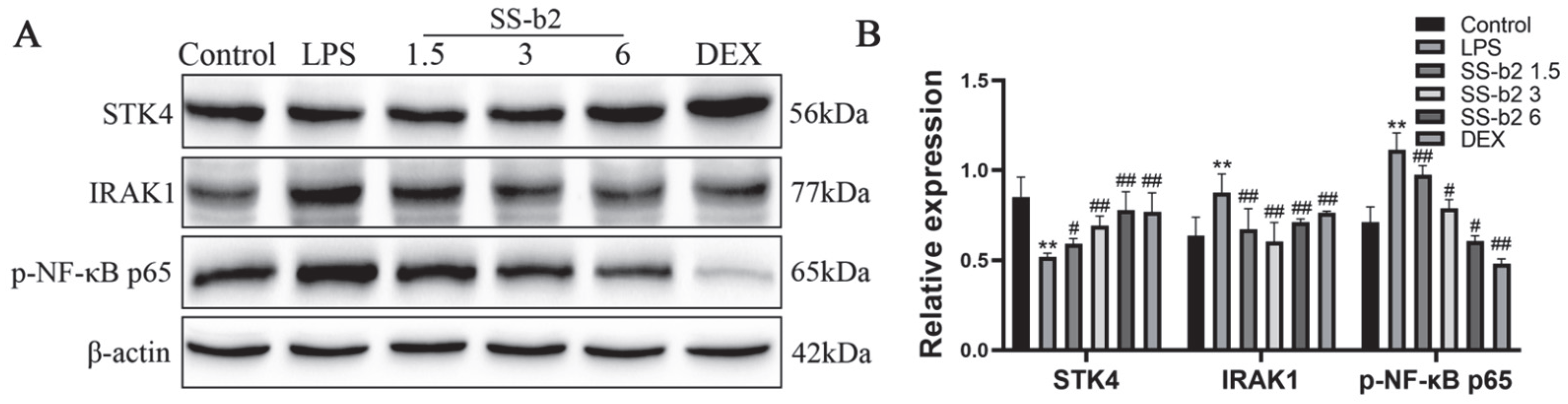 Biomedicines 11 02859 g006