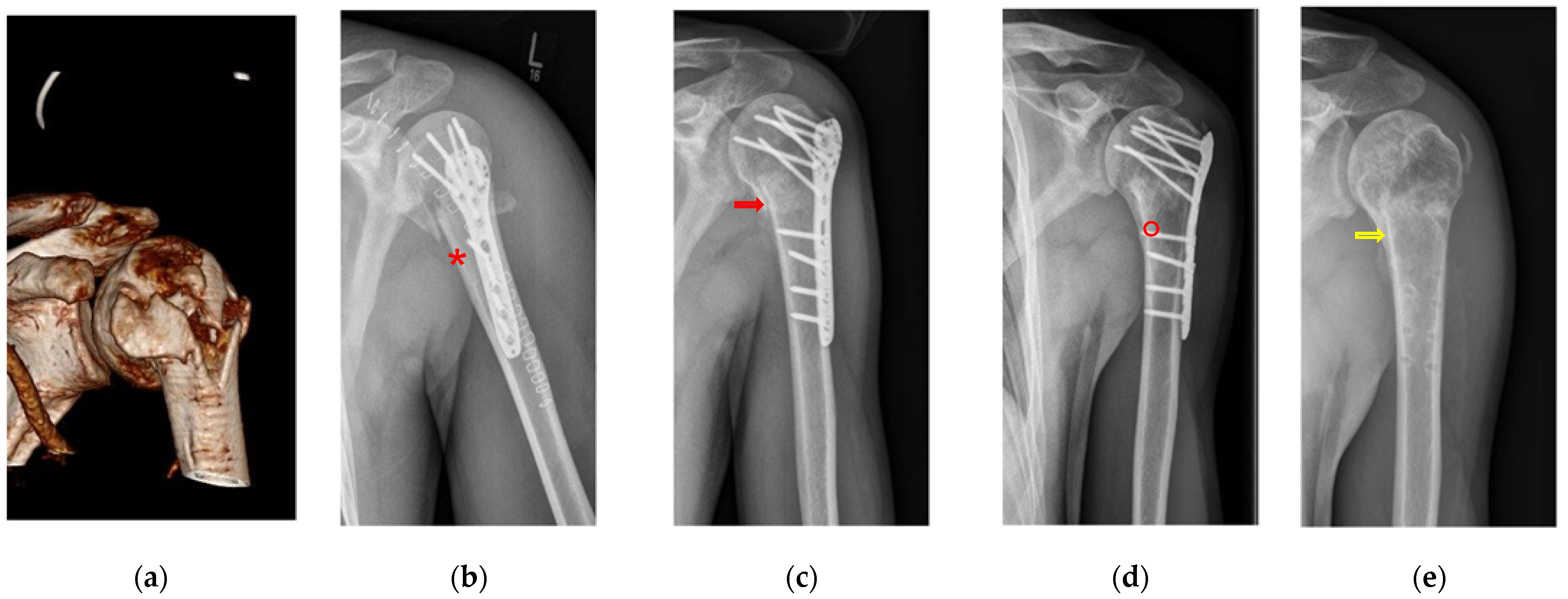 Biomedicines 11 02862 g002