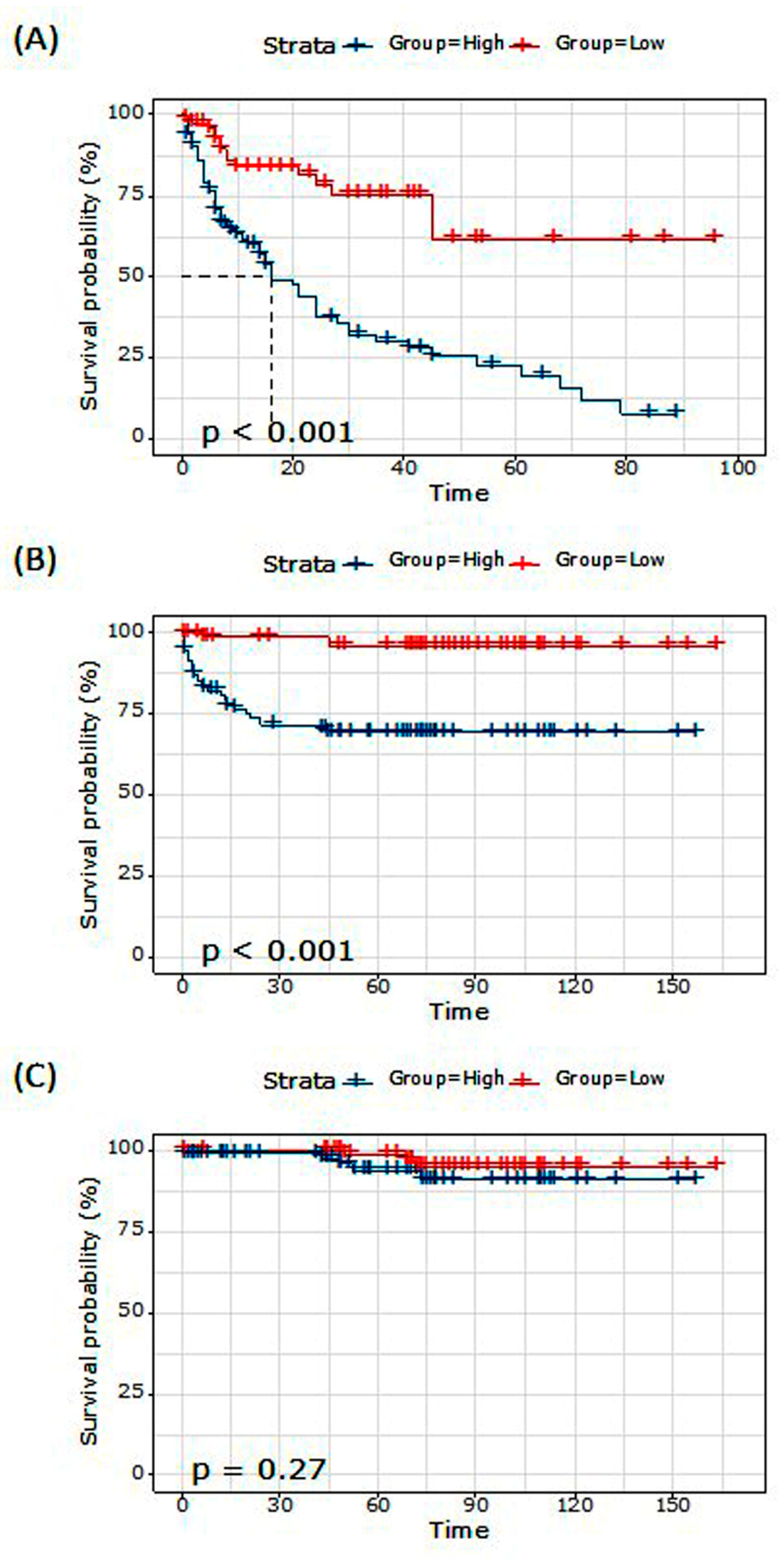 Biomedicines 11 02953 g003 Biomedicines 11 02953 g003