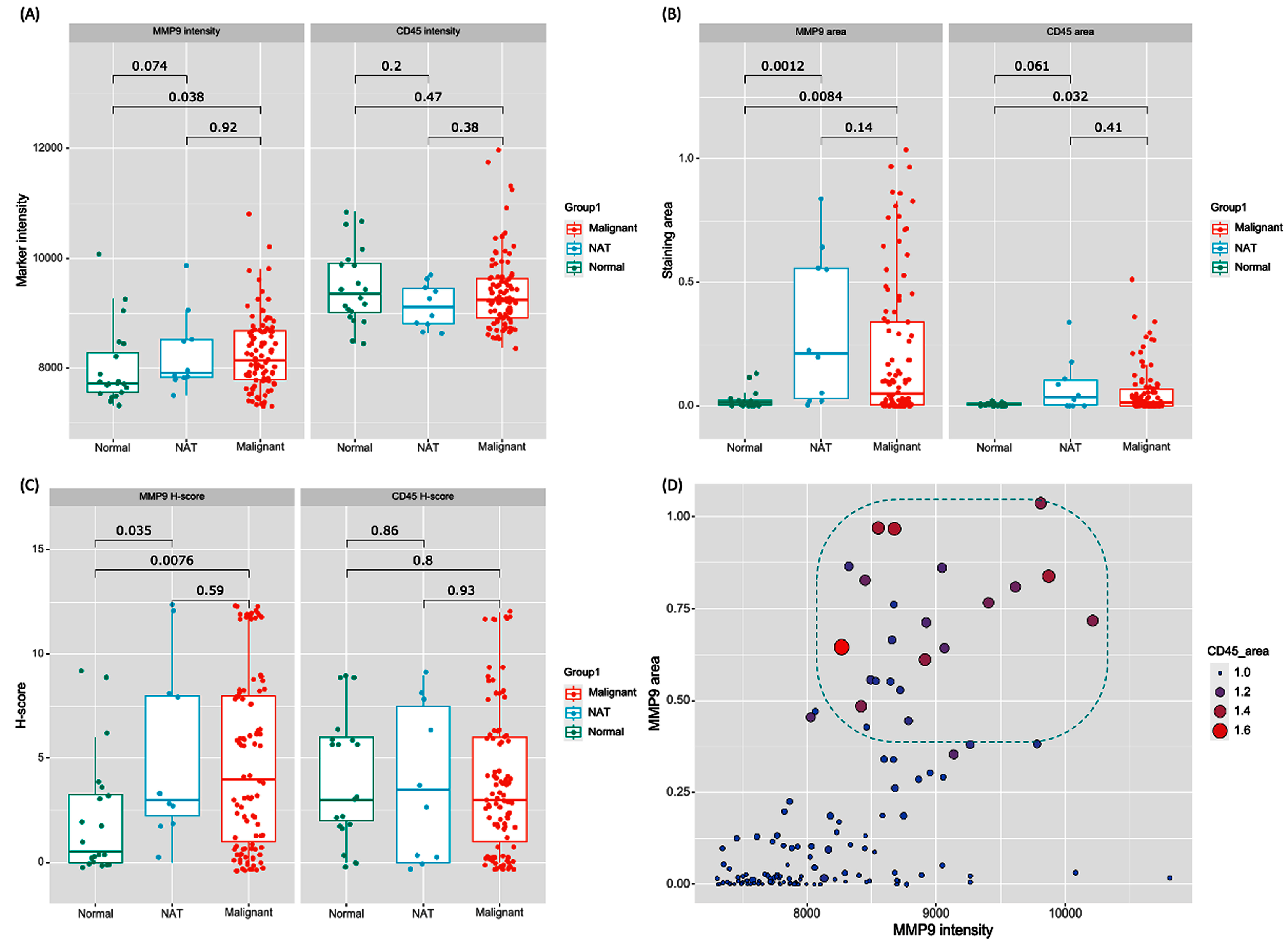Biomedicines 11 02953 g008 Biomedicines 11 02953 g008