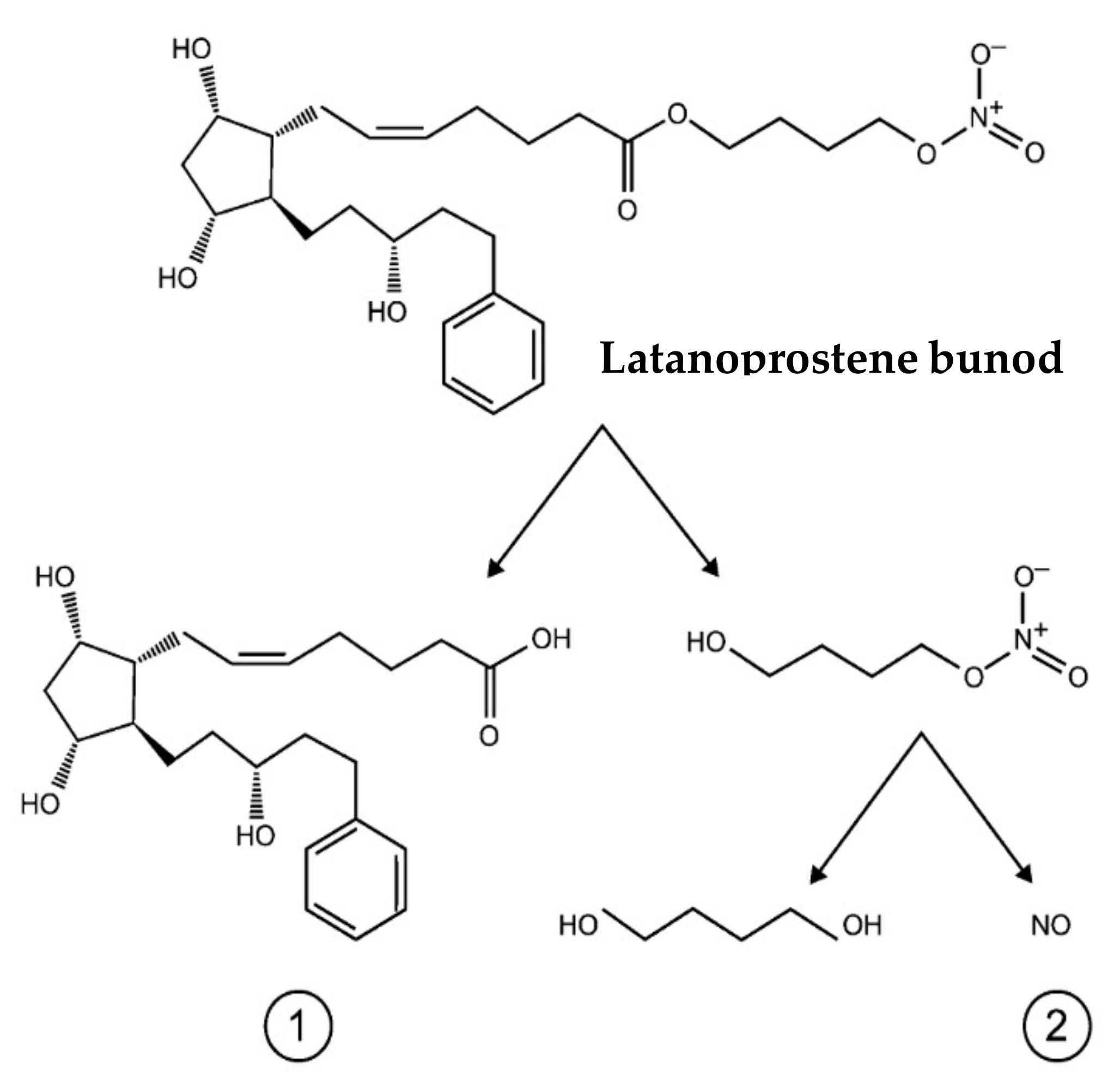 Biomedicines 11 02959 g004