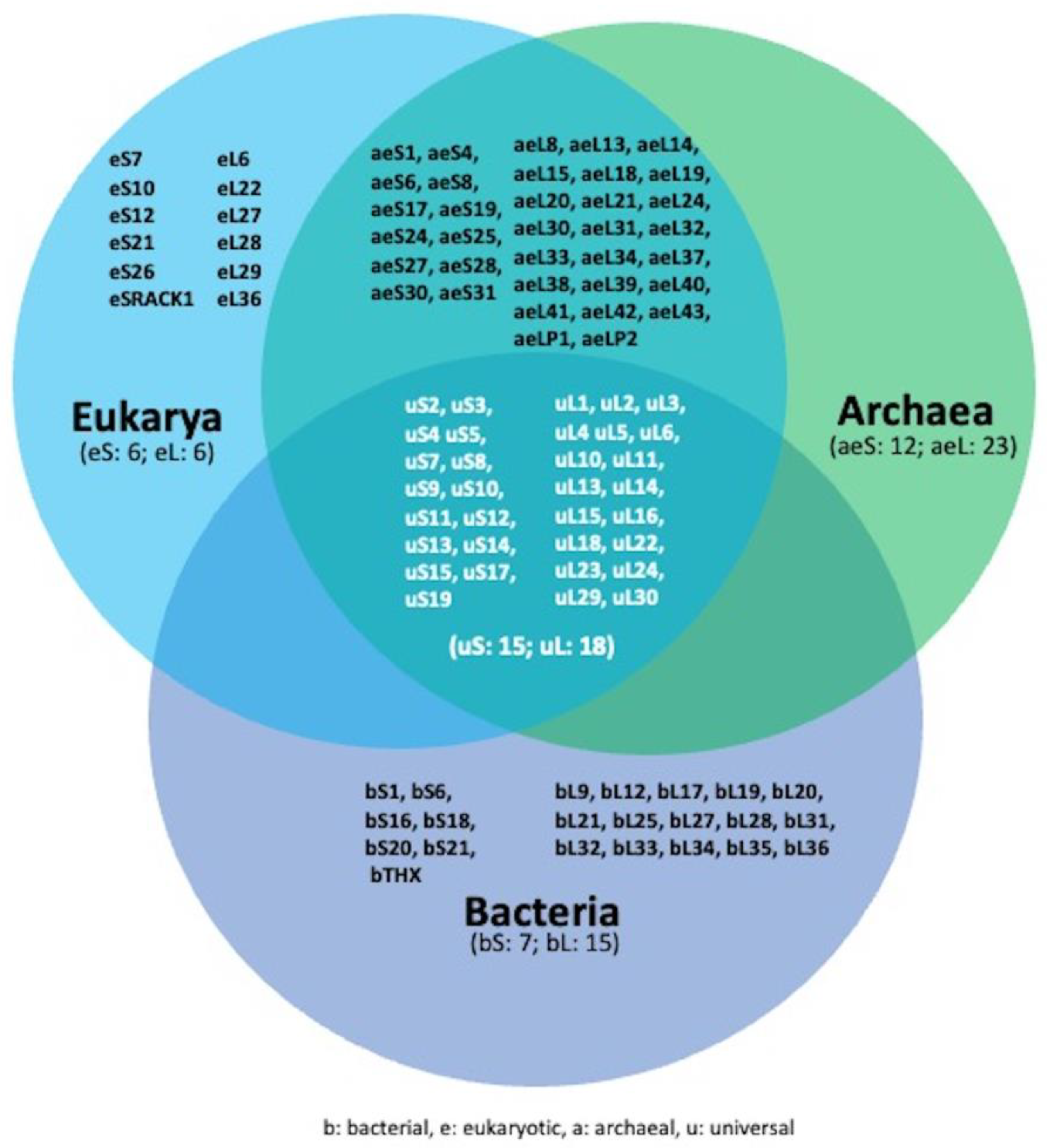 Biomedicines 11 02969 g001