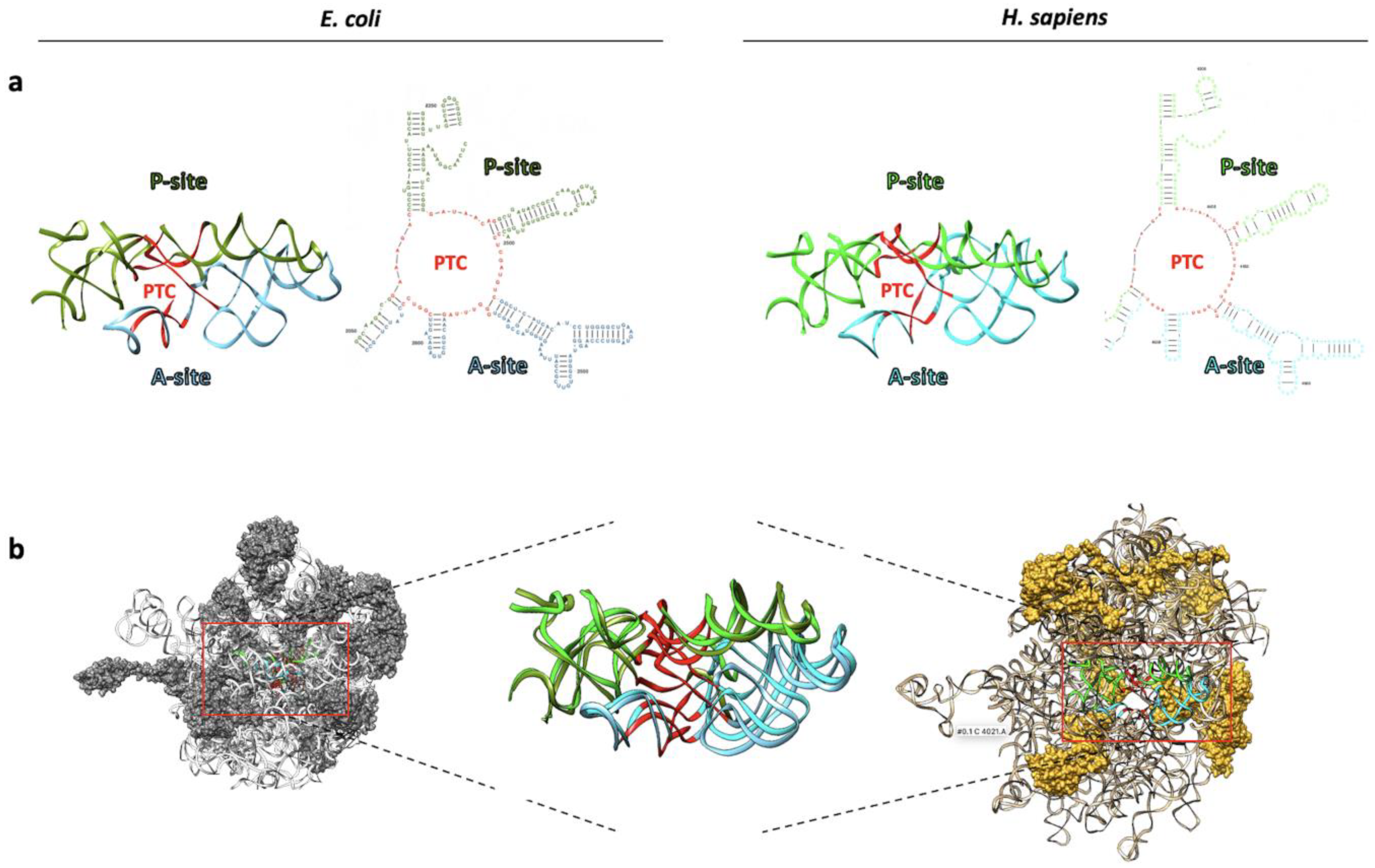 Biomedicines 11 02969 g002