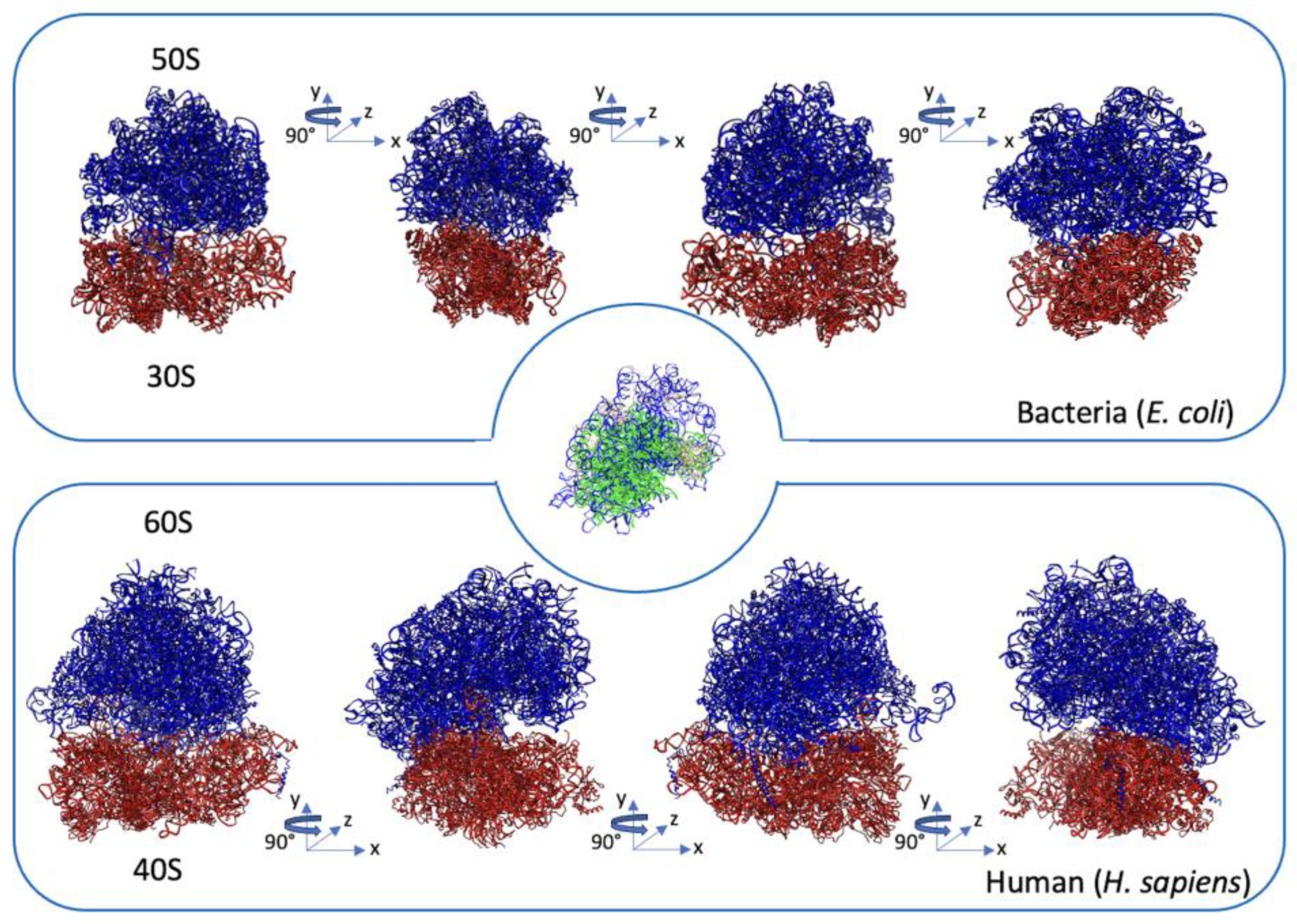 Biomedicines 11 02969 g003