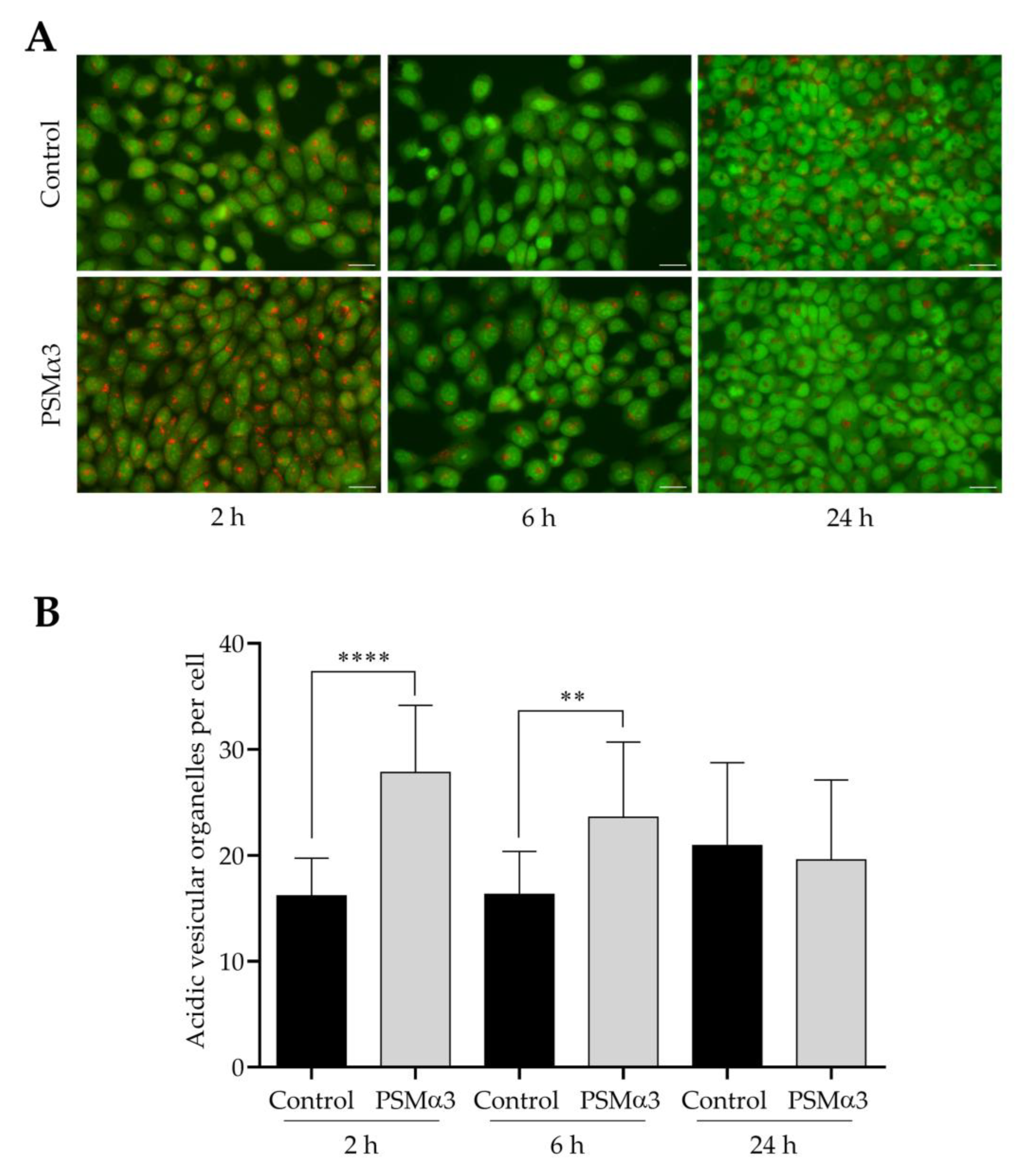 Biomedicines 11 03018 g005