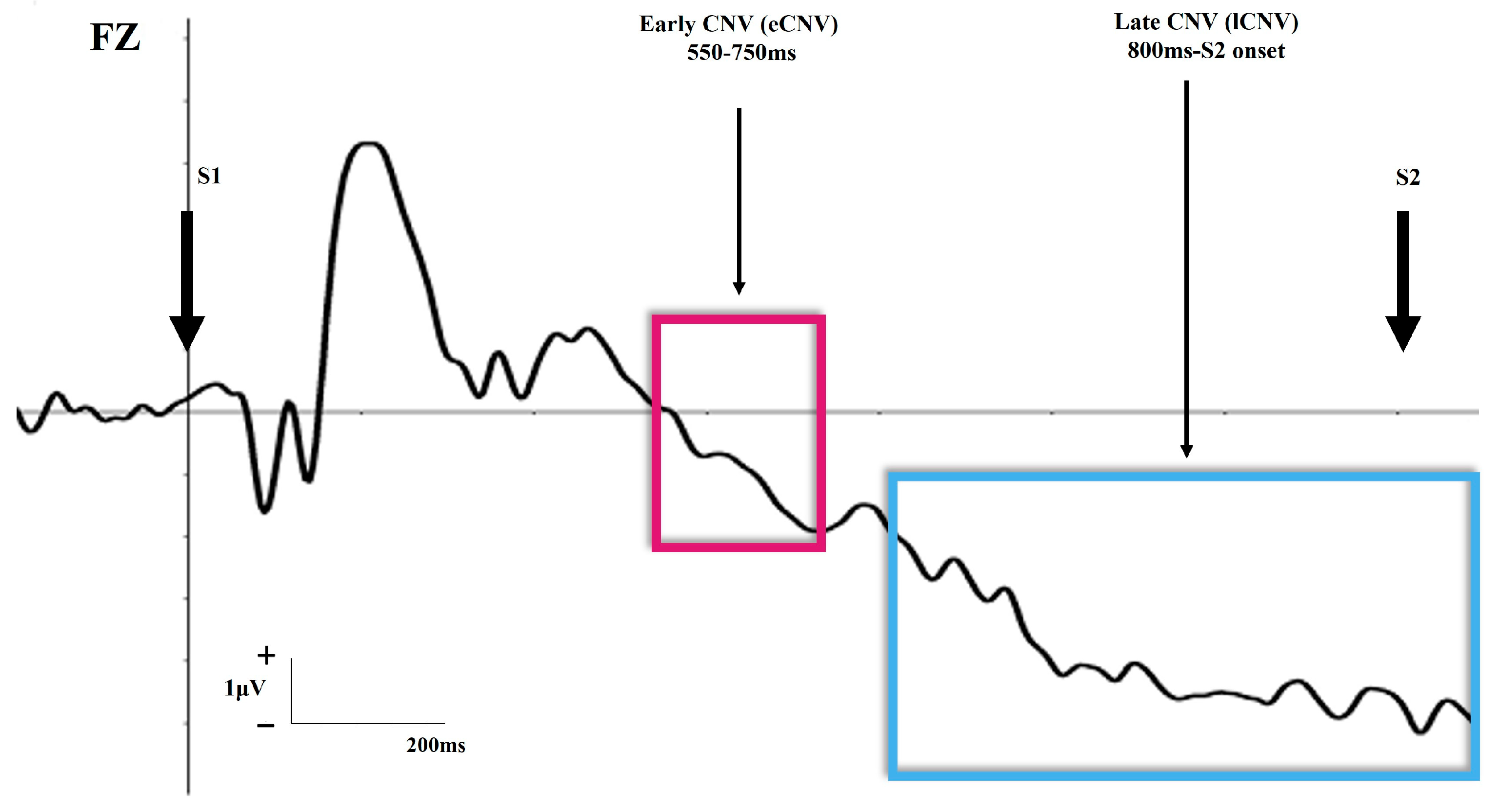 Biomedicines 11 03030 g002