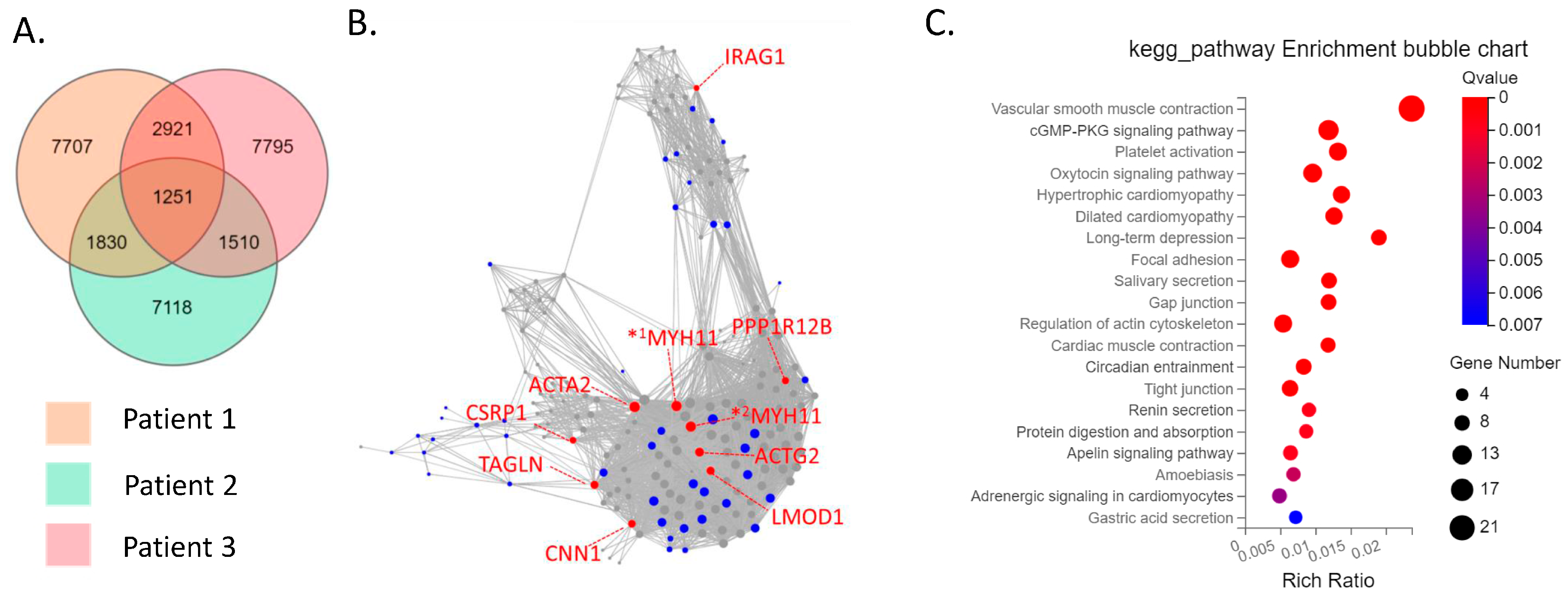Biomedicines 11 03047 g002