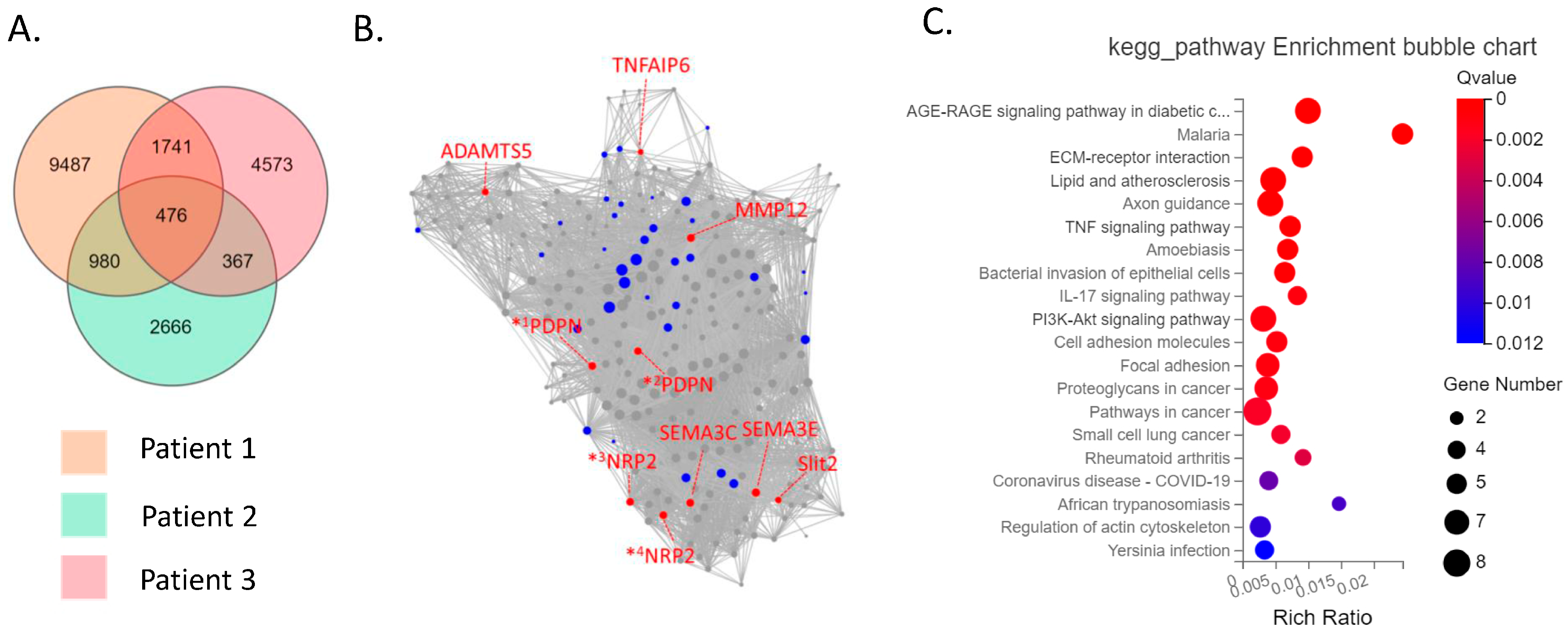 Biomedicines 11 03047 g003