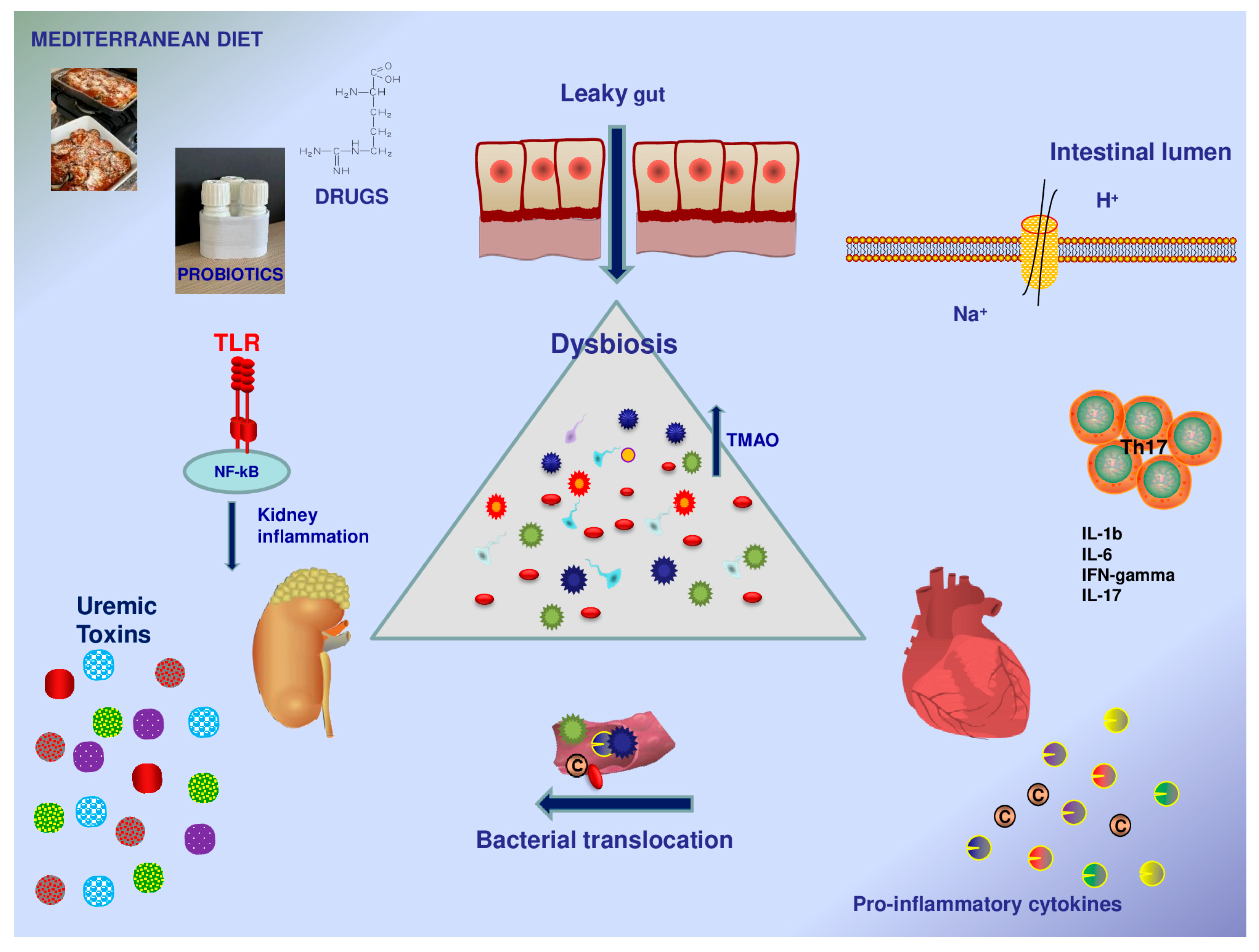 Biomedicines 11 03063 g001