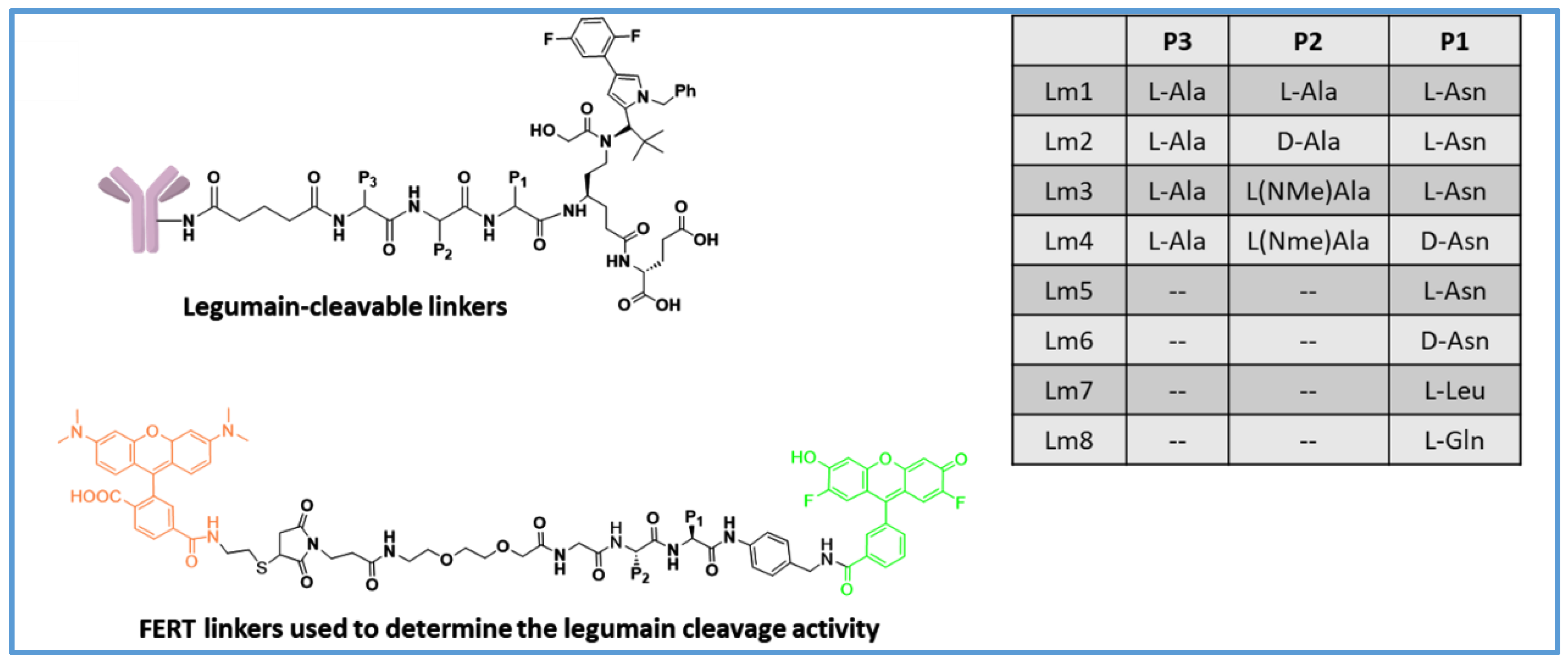 Biomedicines 11 03080 g005