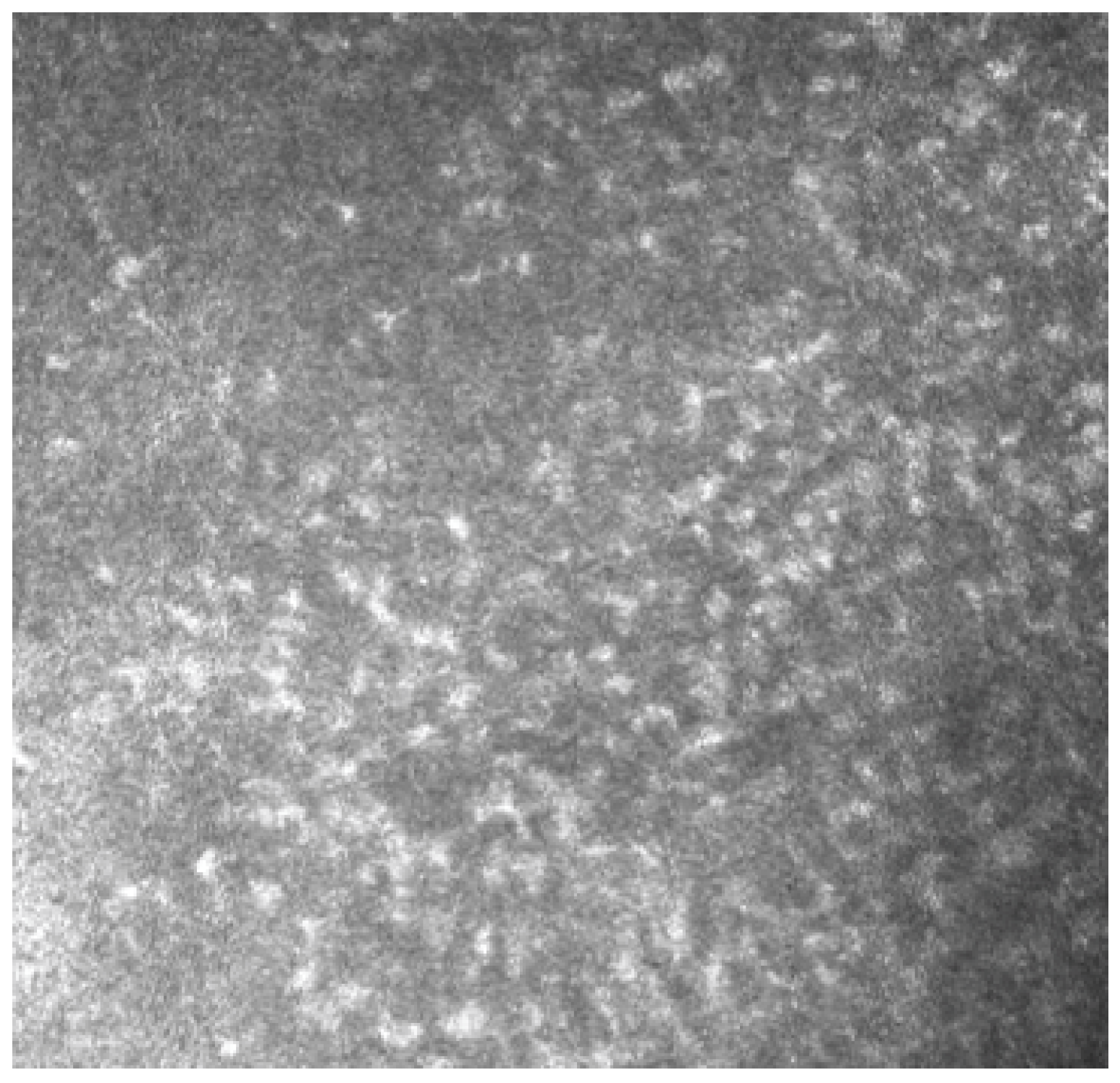 Biomedicines 11 03104 g006