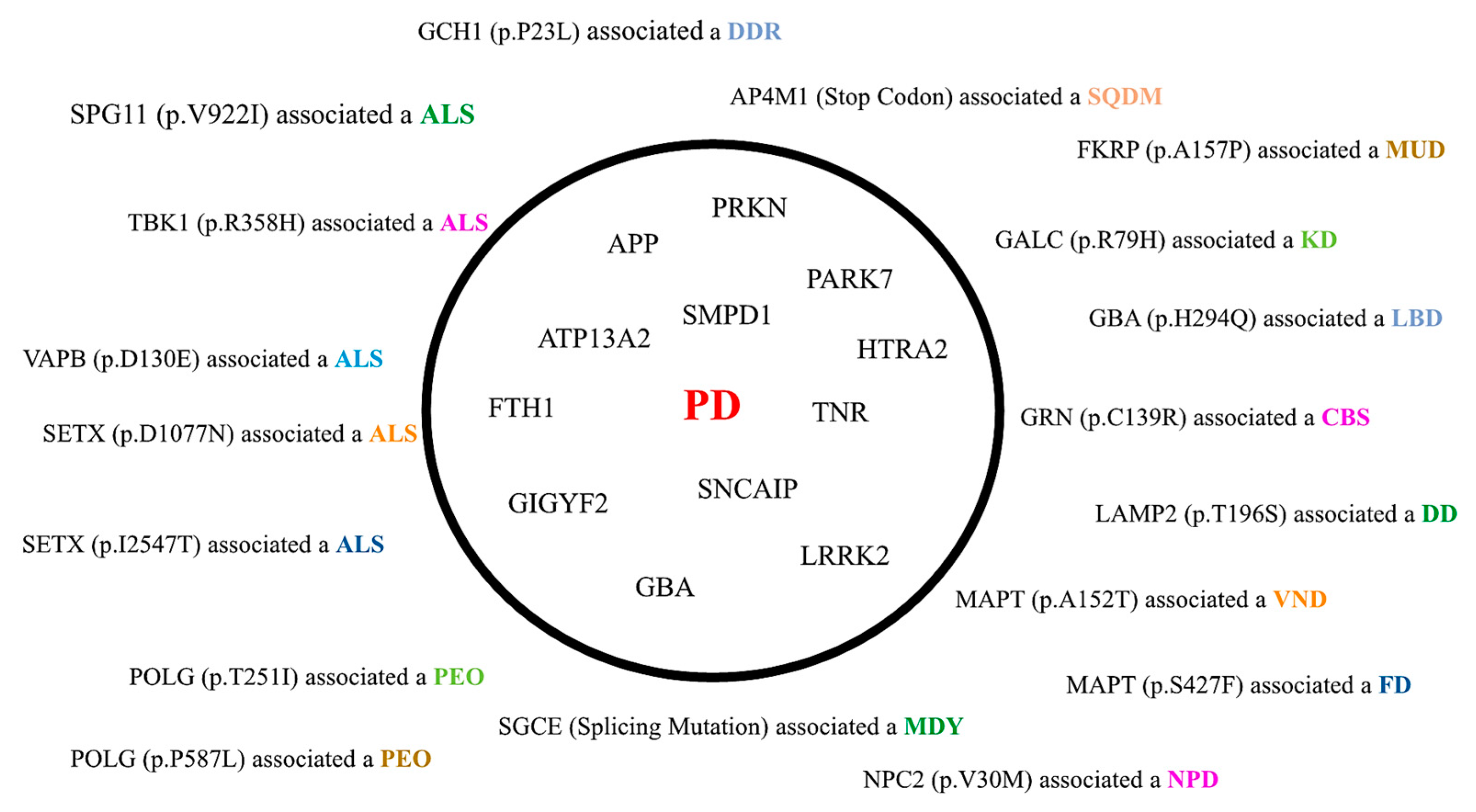Biomedicines 11 03118 g002