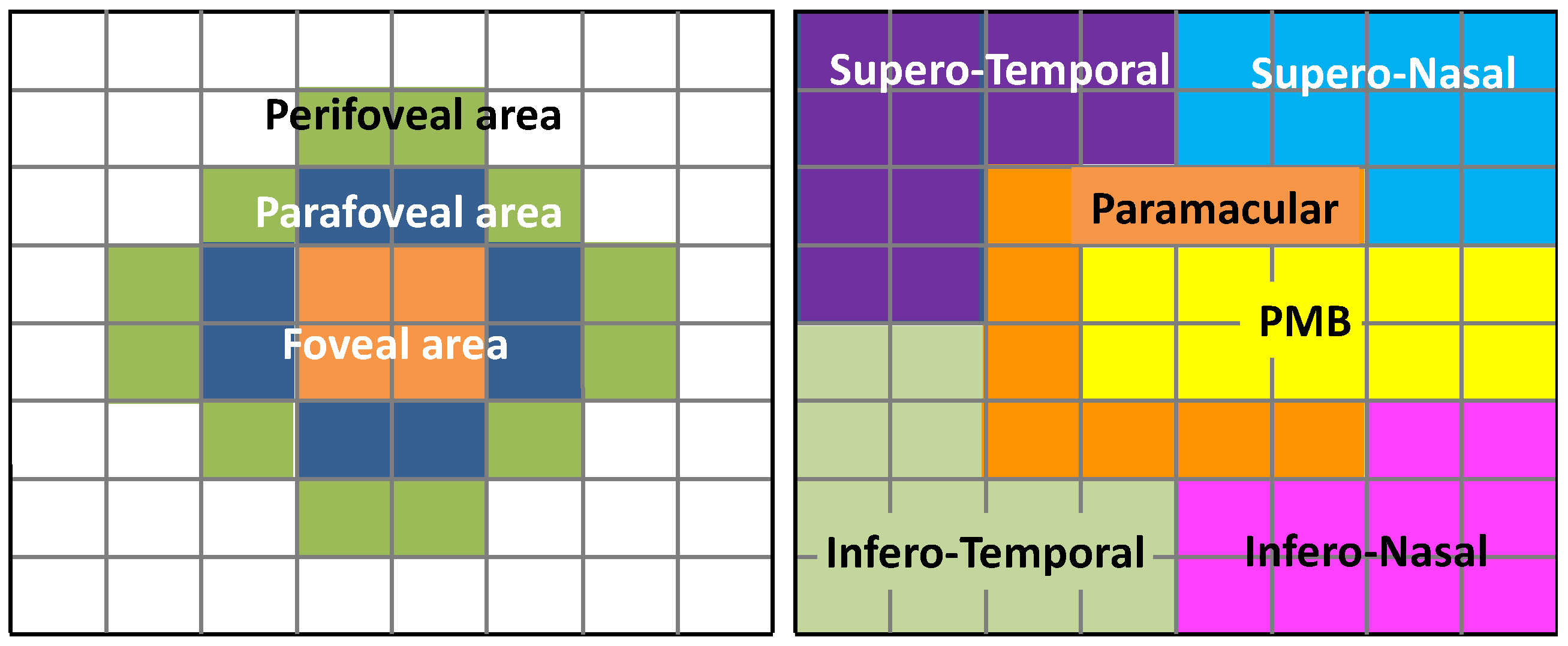 Biomedicines 11 03126 g002