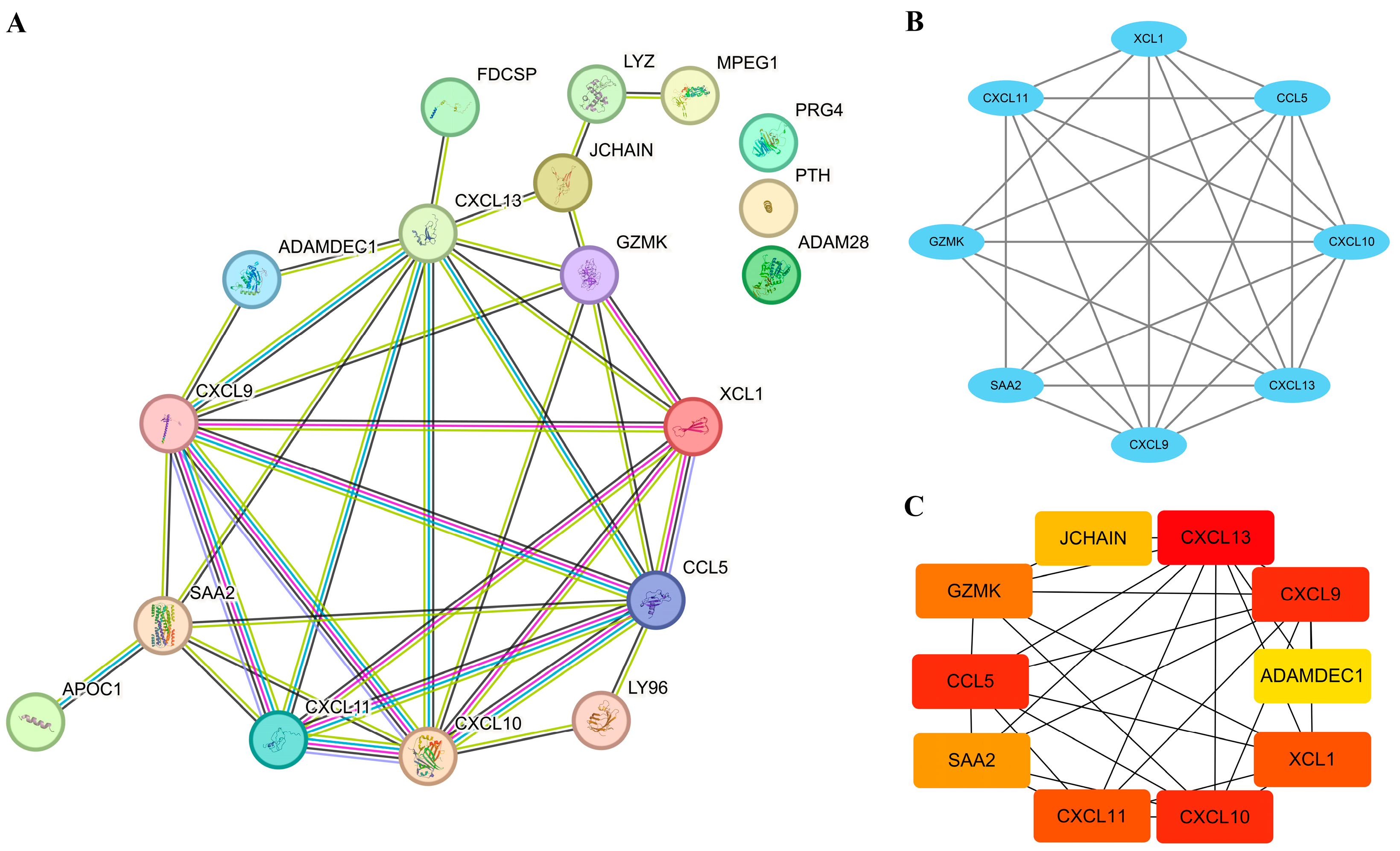 Biomedicines 11 03127 g005