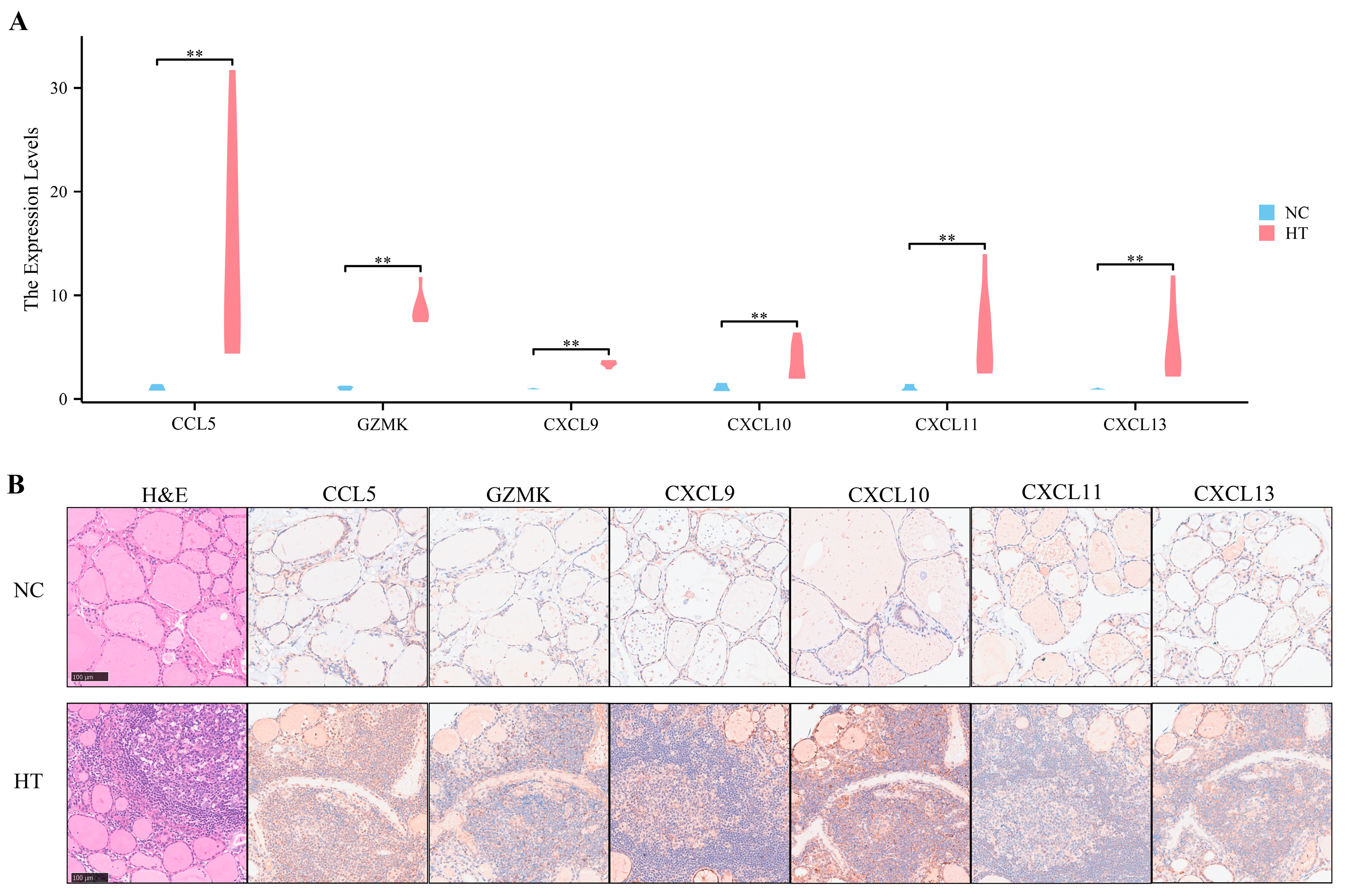Biomedicines 11 03127 g008