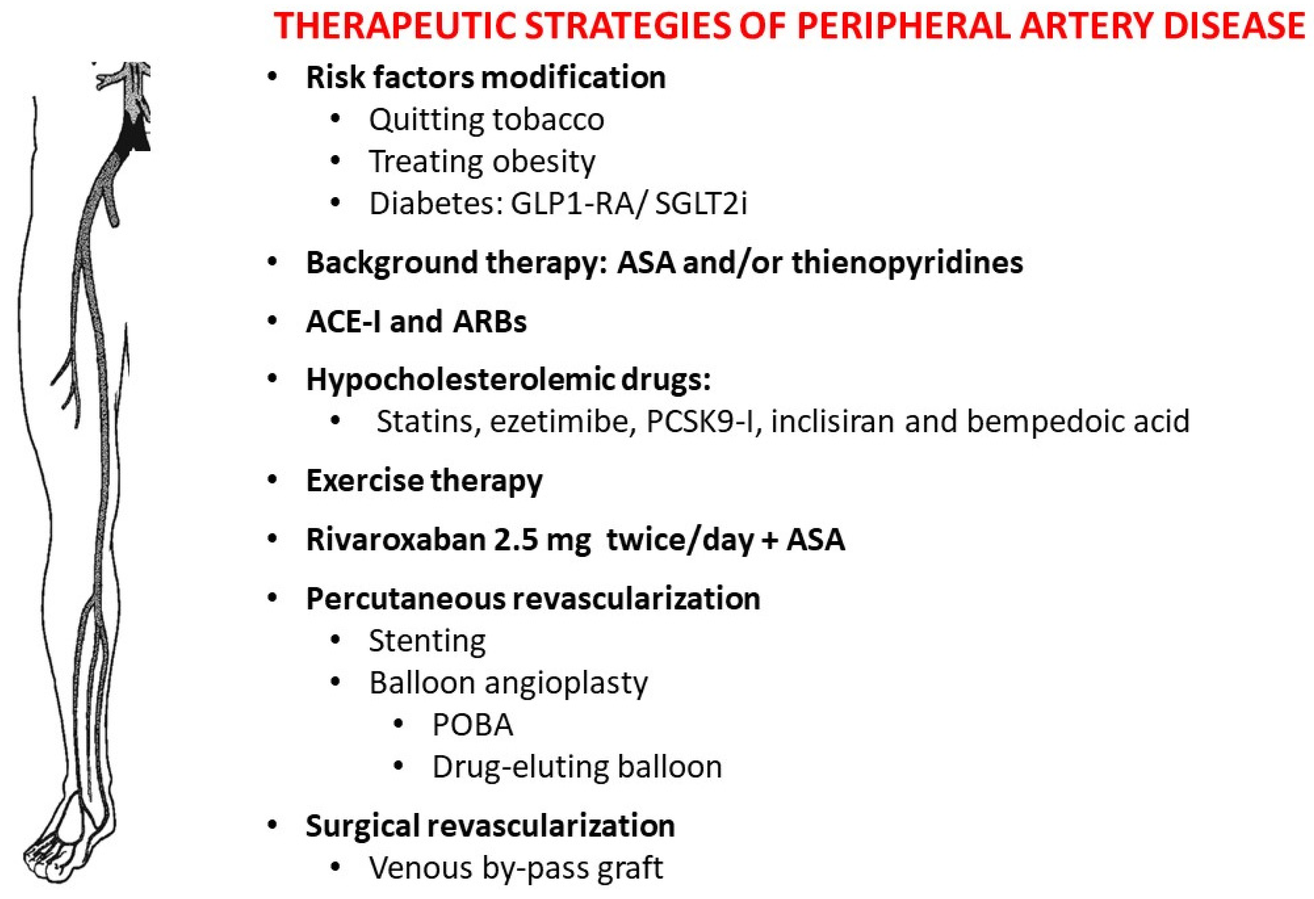 Biomedicines 11 03131 g003