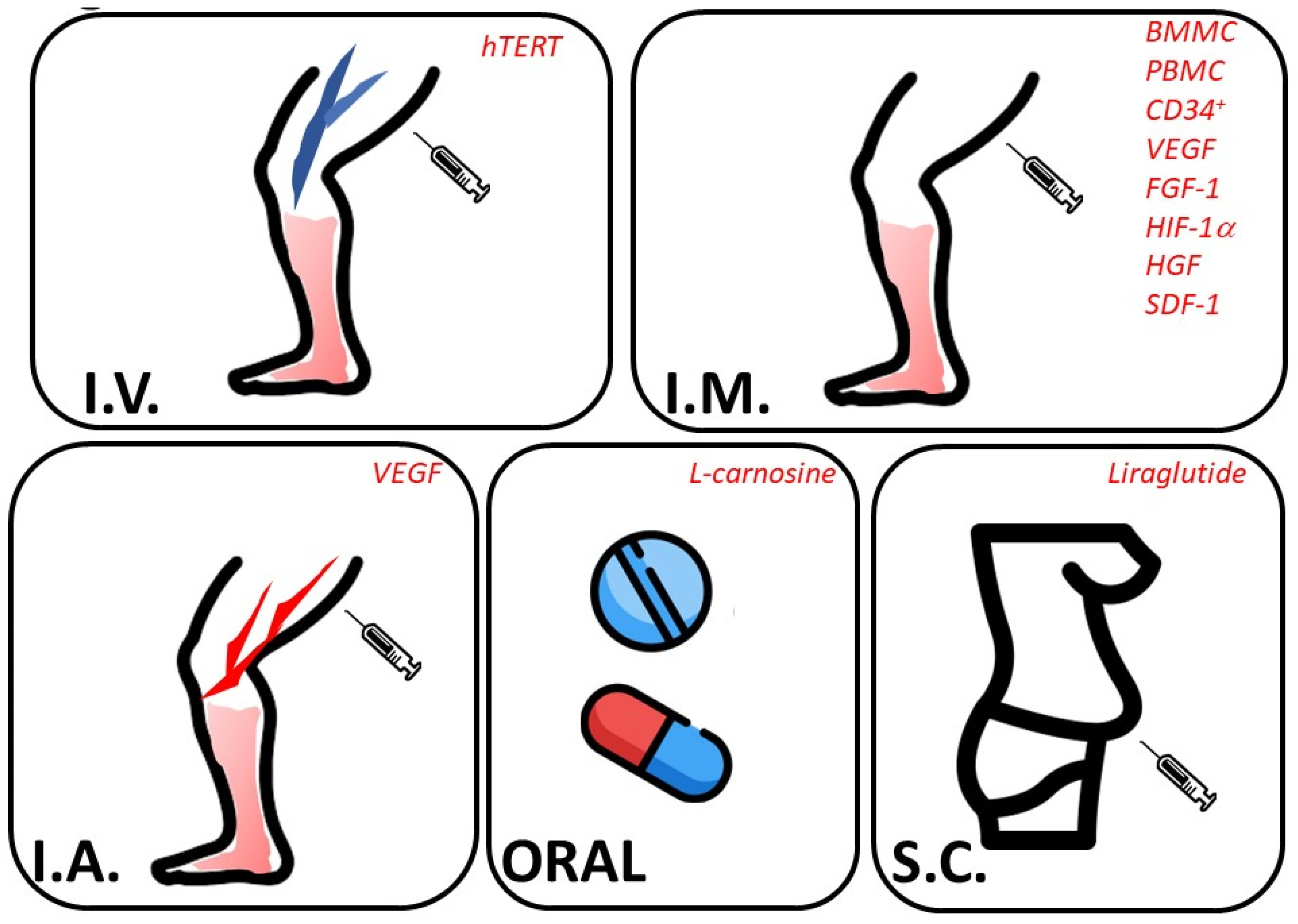 Biomedicines 11 03131 g004