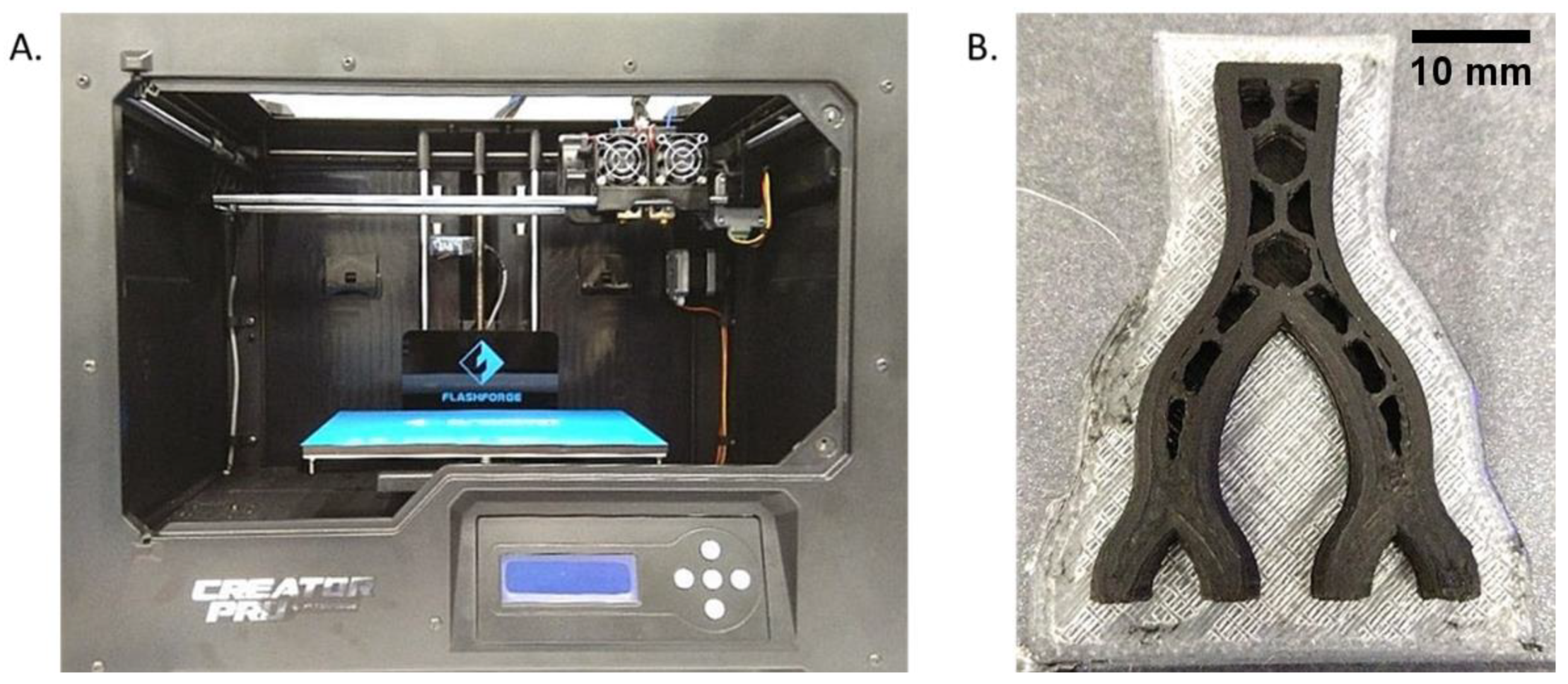 Biomedicines 11 03139 g003
