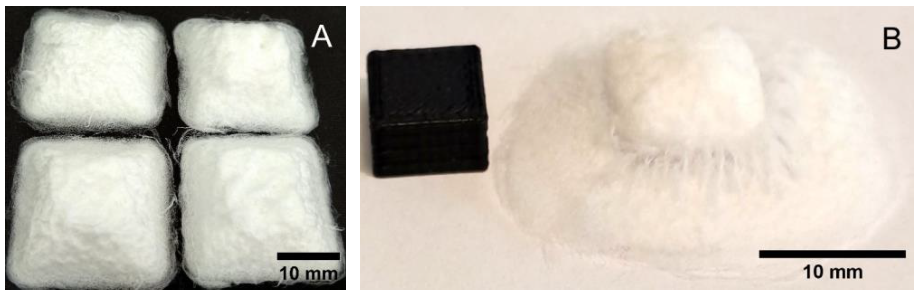 Biomedicines 11 03139 g011