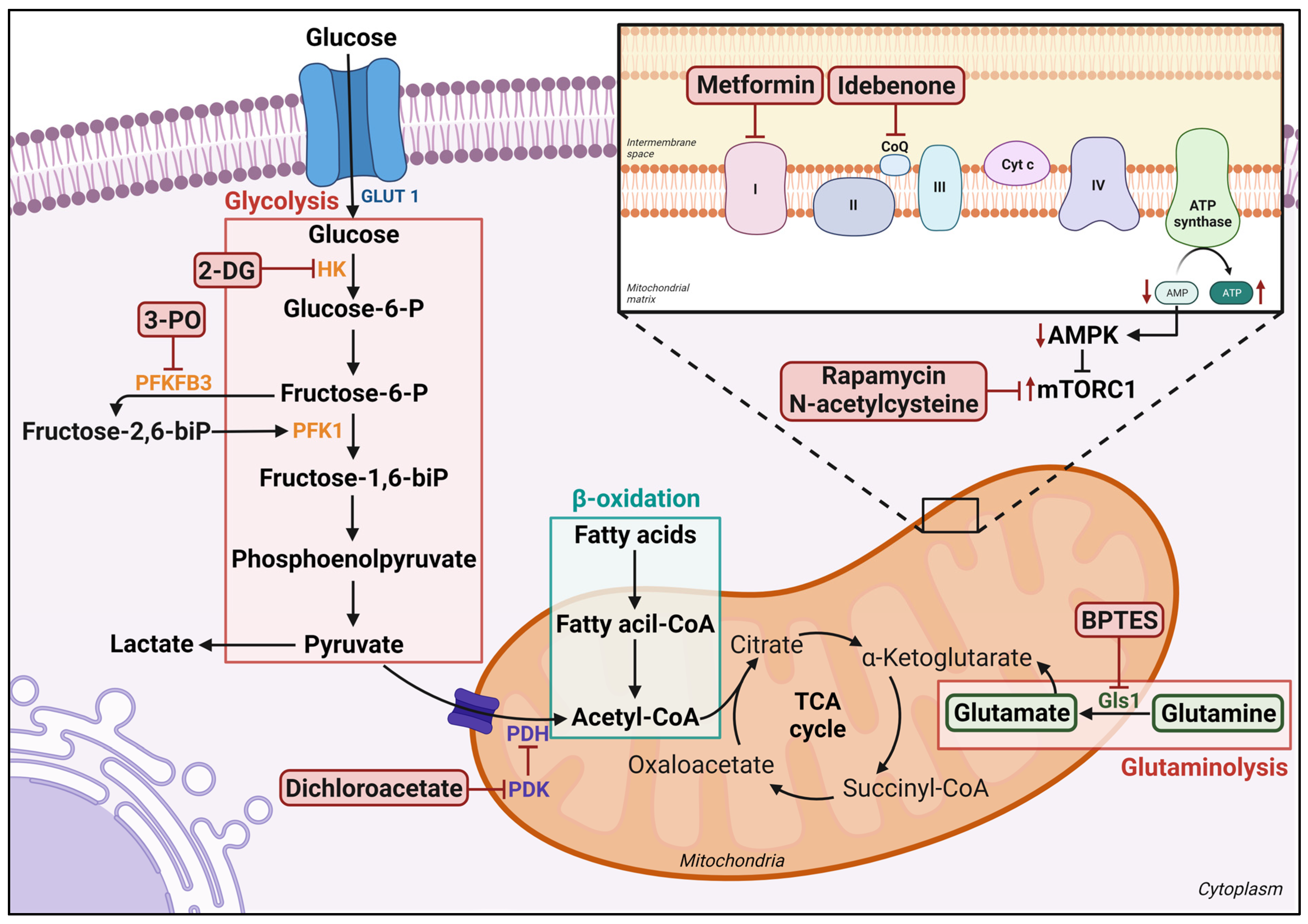 Biomedicines 11 03142 g002 Biomedicines 11 03142 g002