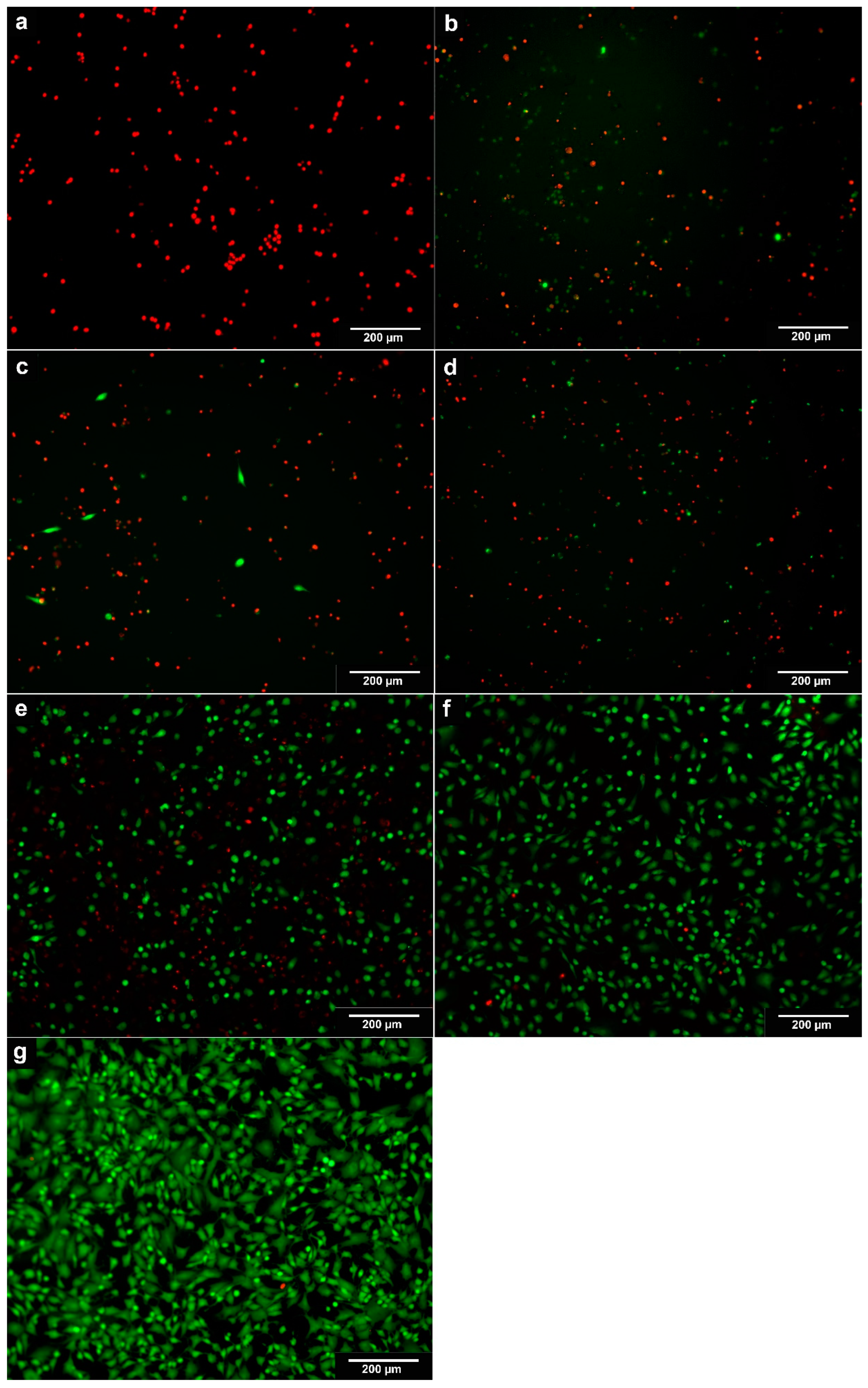 Biomedicines 11 03143 g001