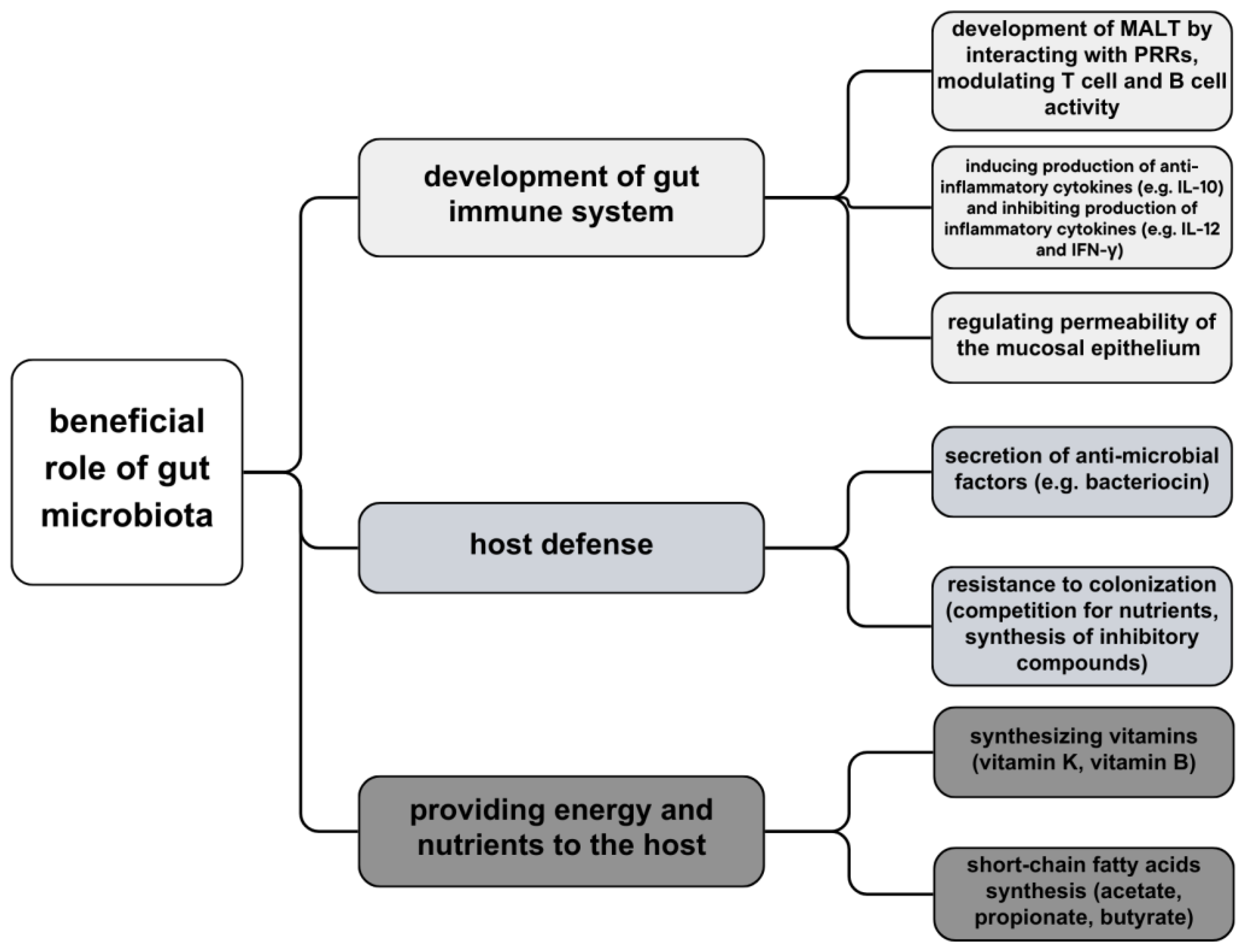 Biomedicines 11 03144 g001