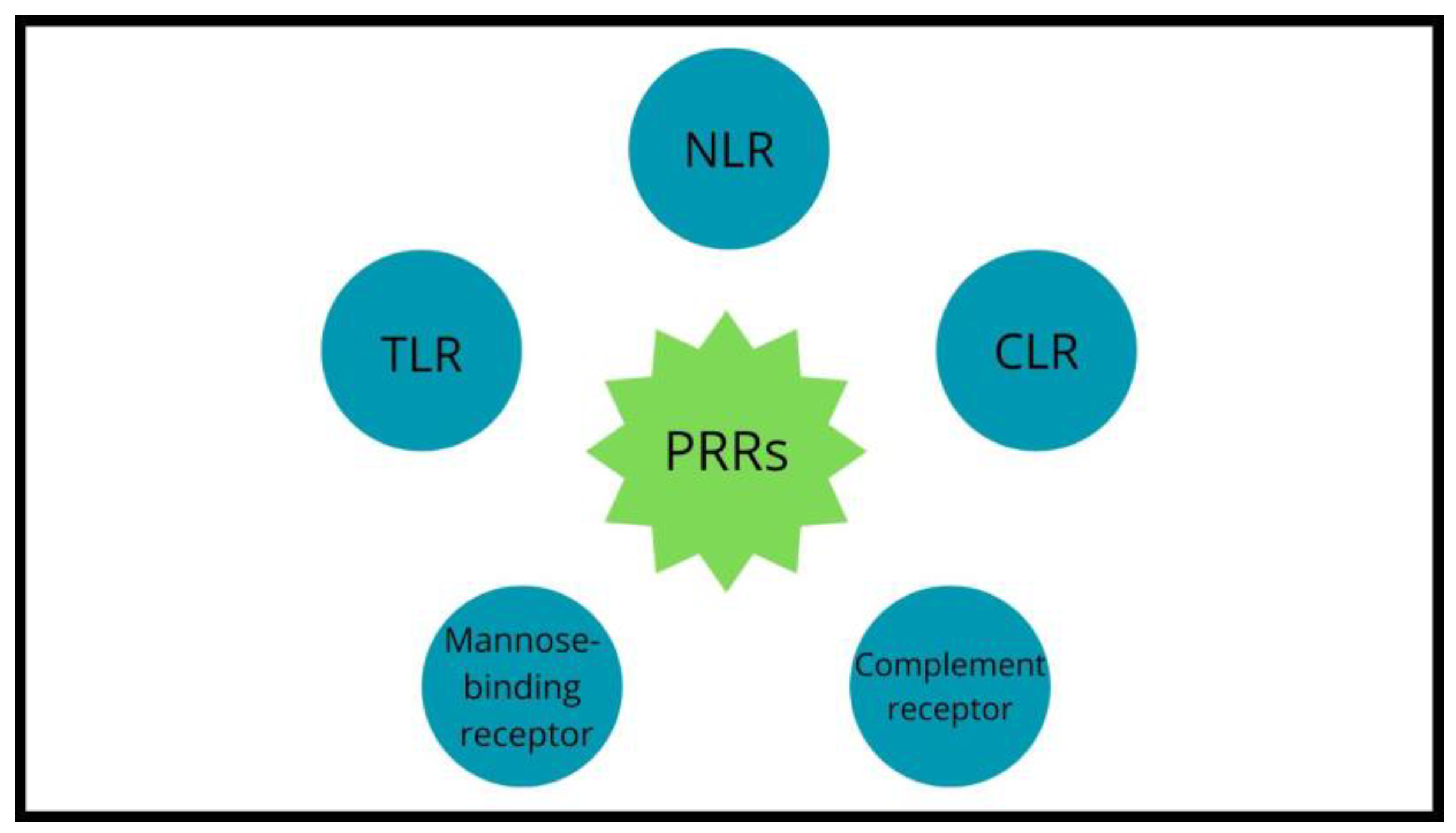 Biomedicines 11 03144 g003