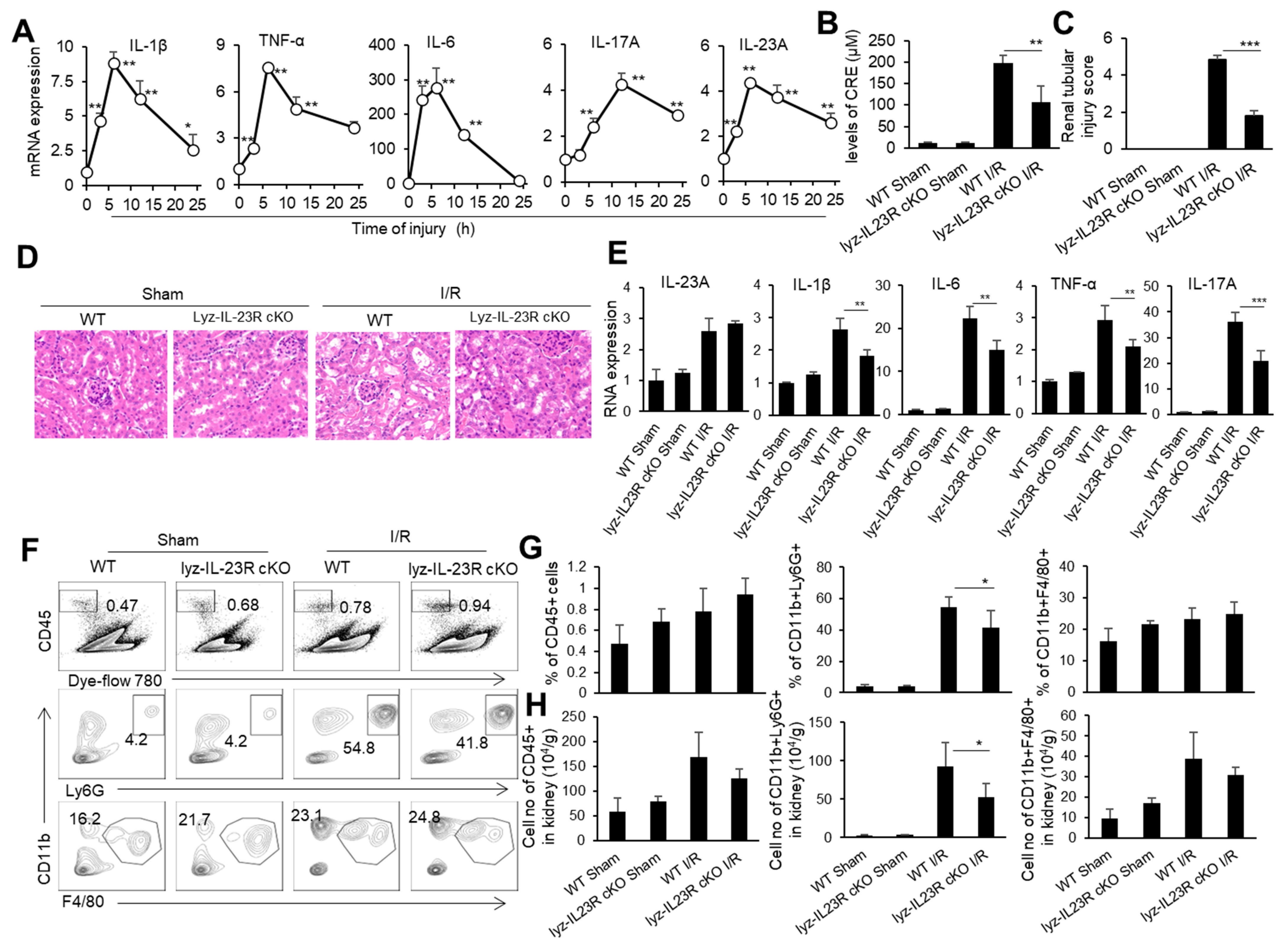 Biomedicines 11 03148 g001
