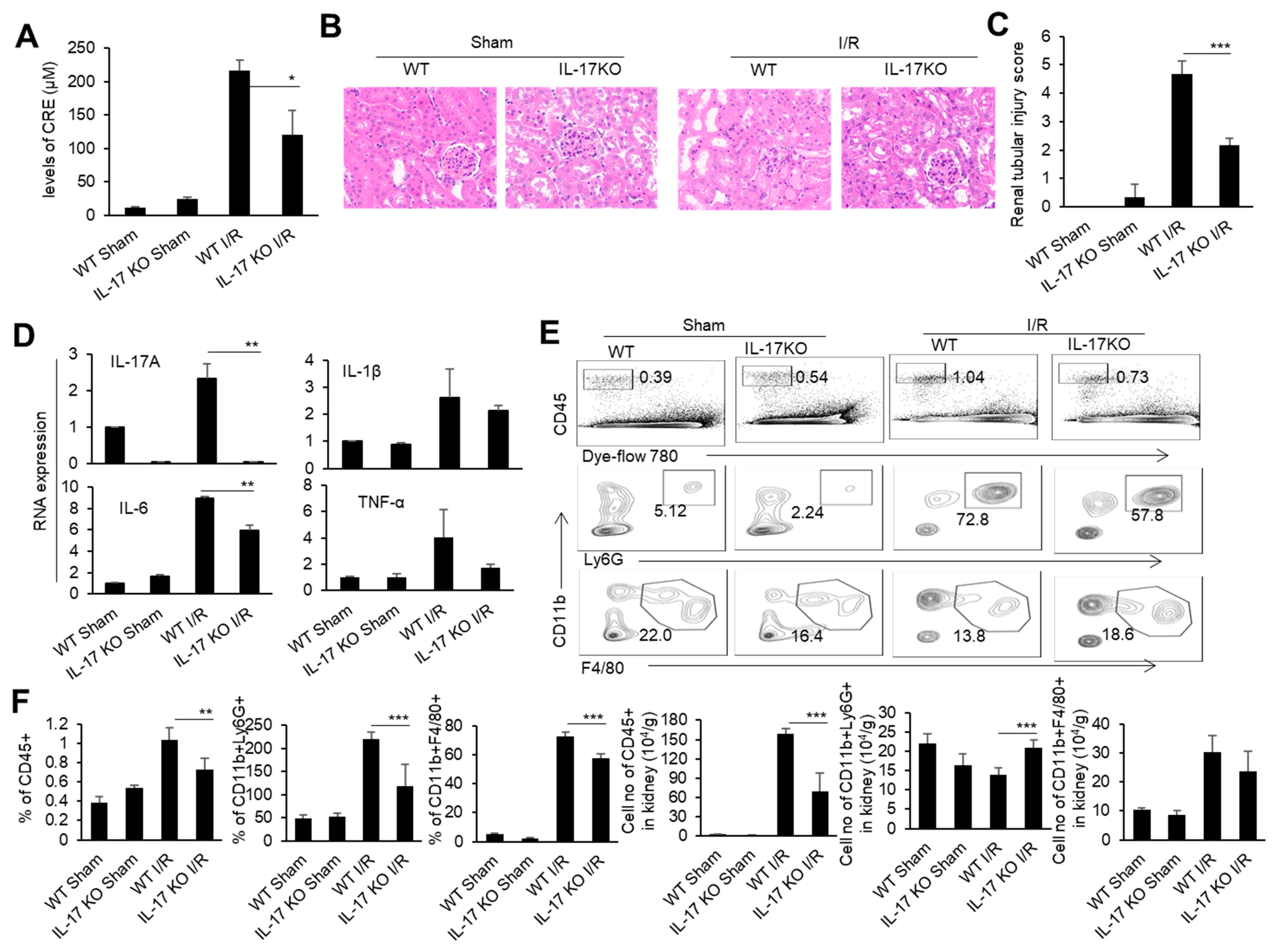 Biomedicines 11 03148 g002