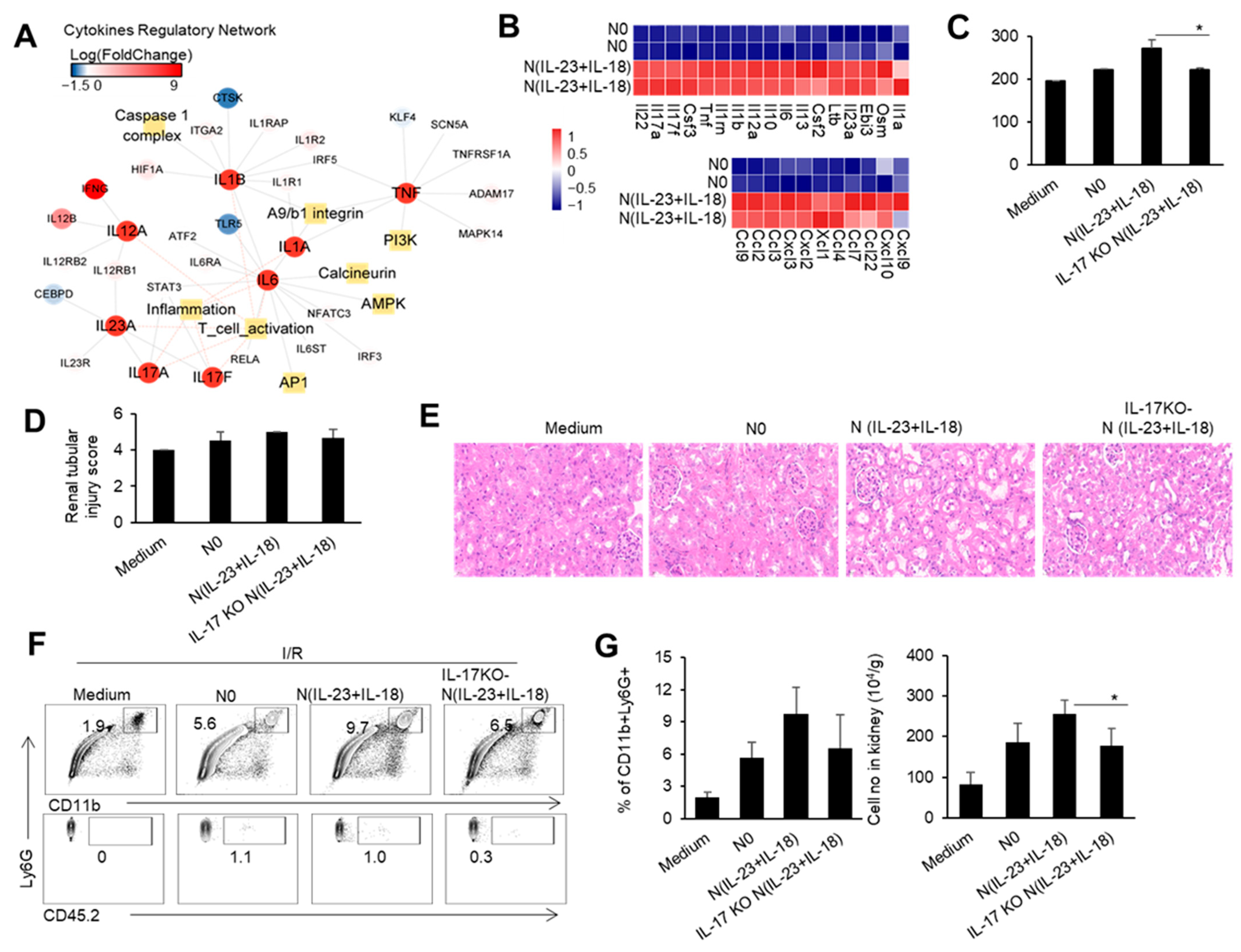 Biomedicines 11 03148 g003