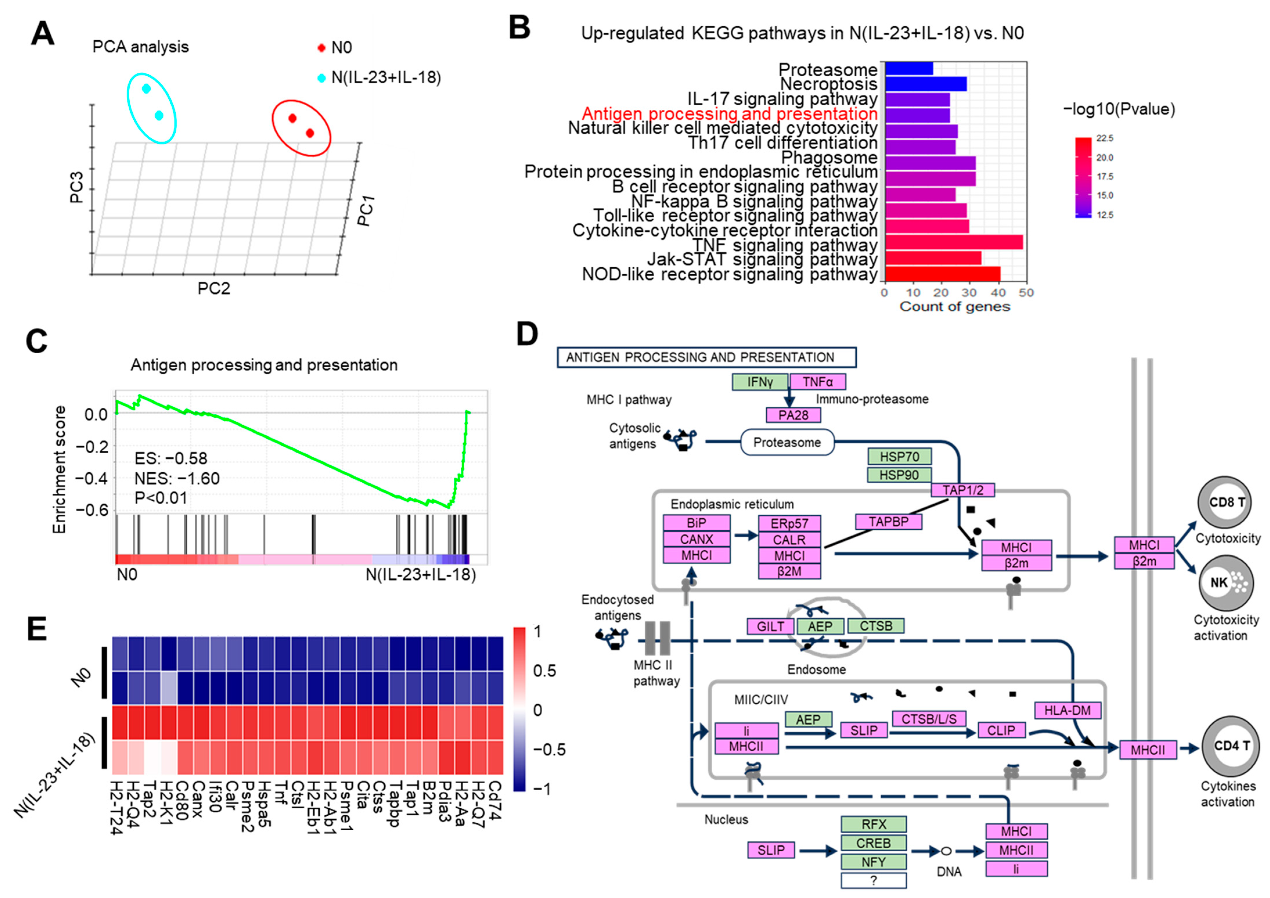 Biomedicines 11 03148 g004