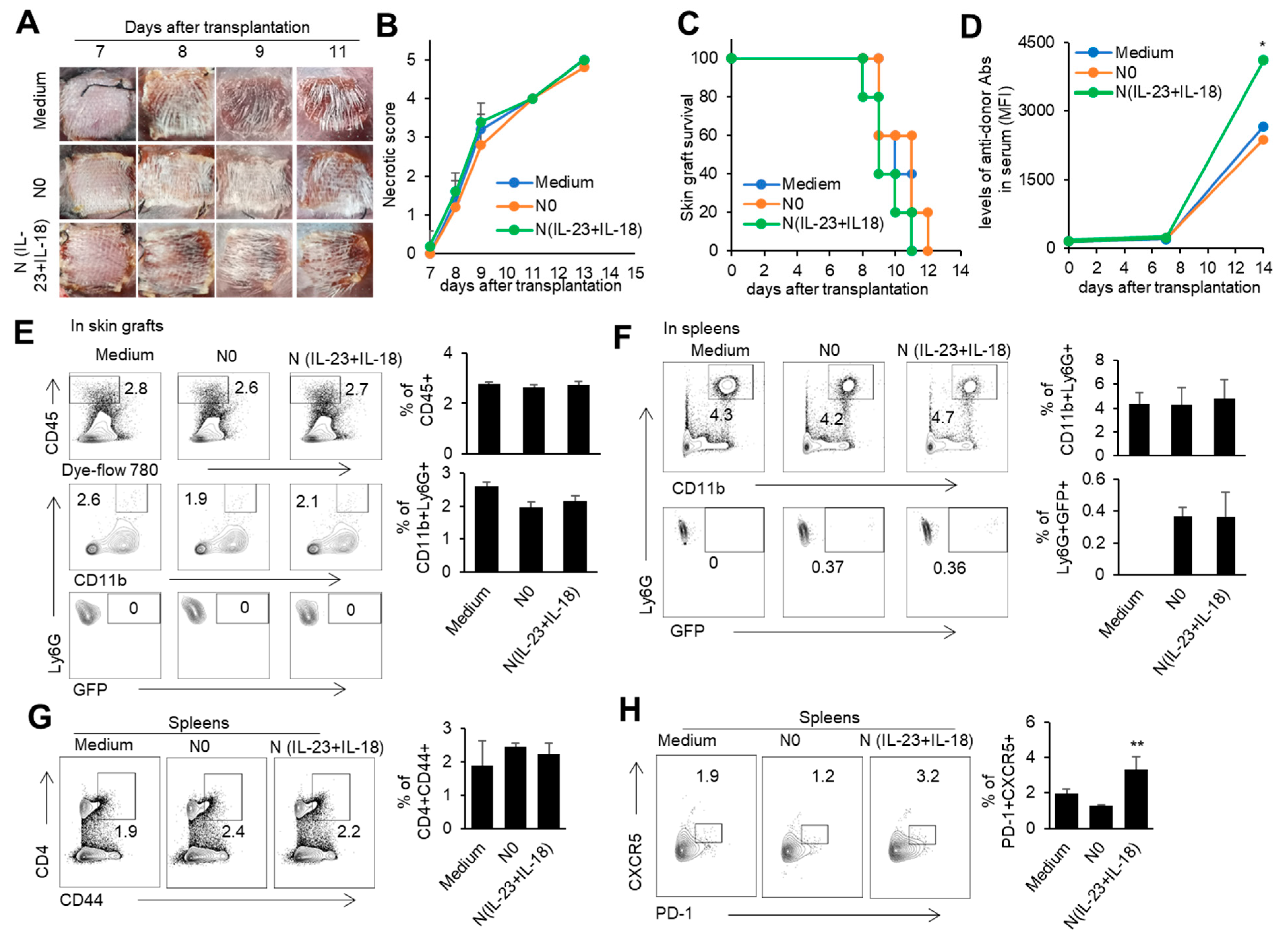 Biomedicines 11 03148 g006