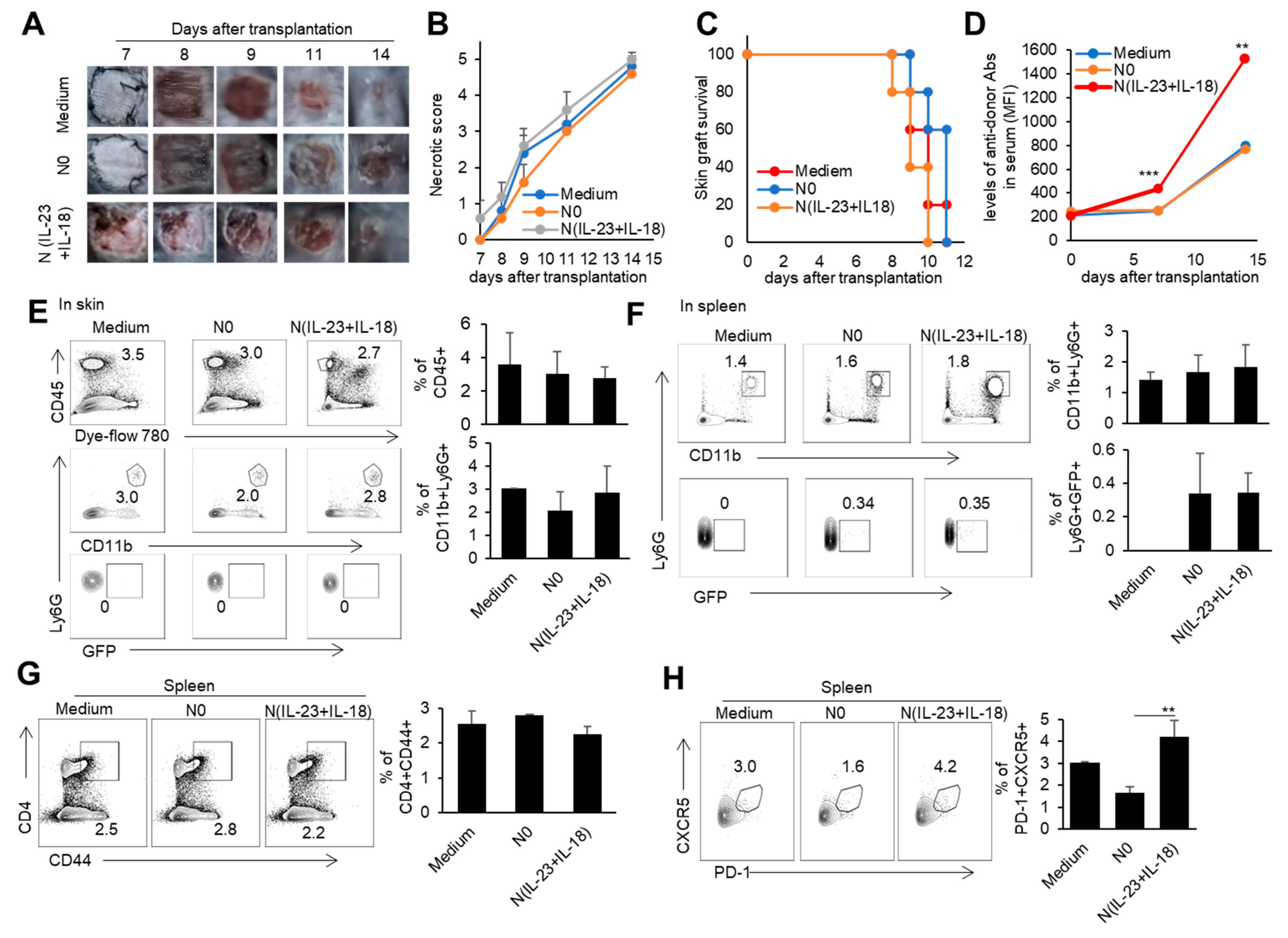 Biomedicines 11 03148 g008