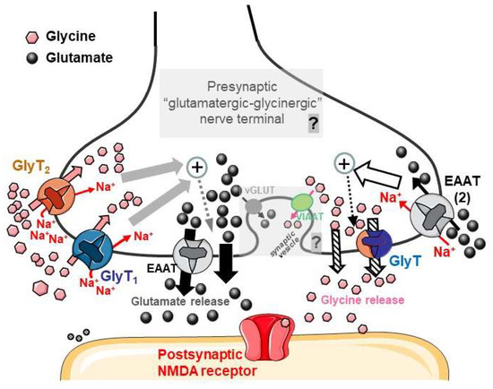 Biomedicines 11 03152 g007