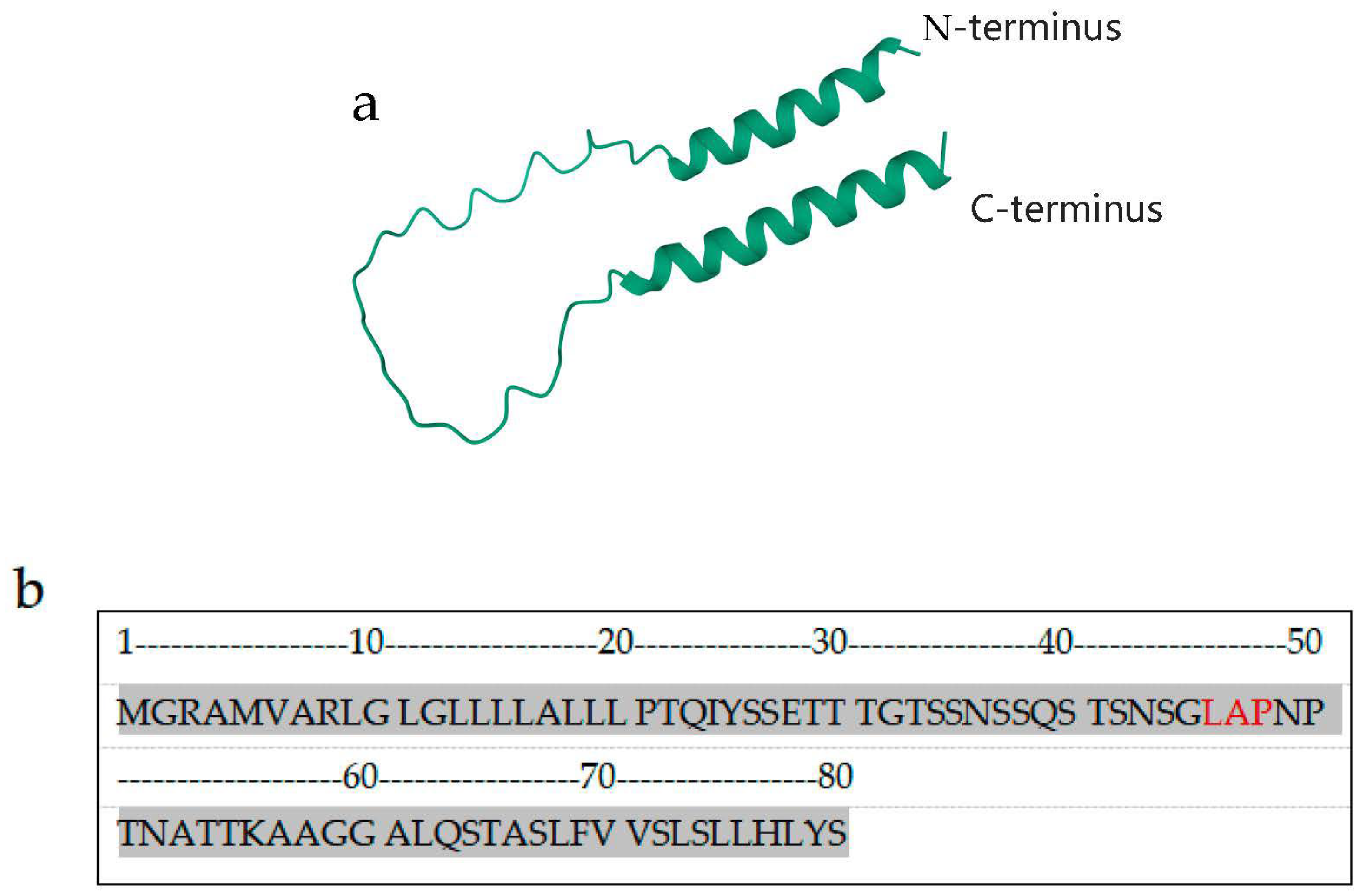 Biomedicines 11 03159 g001