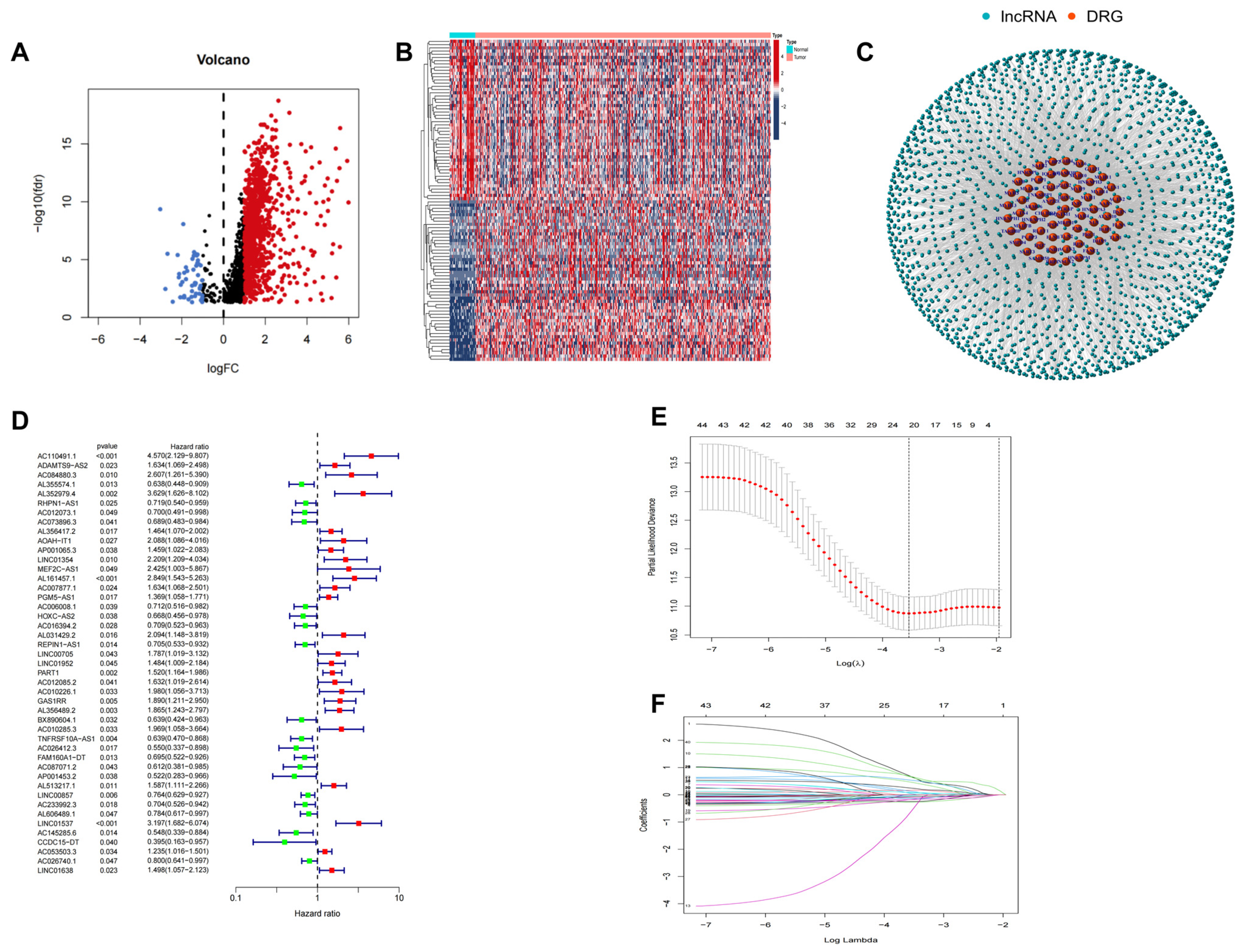 Biomedicines 11 03165 g001