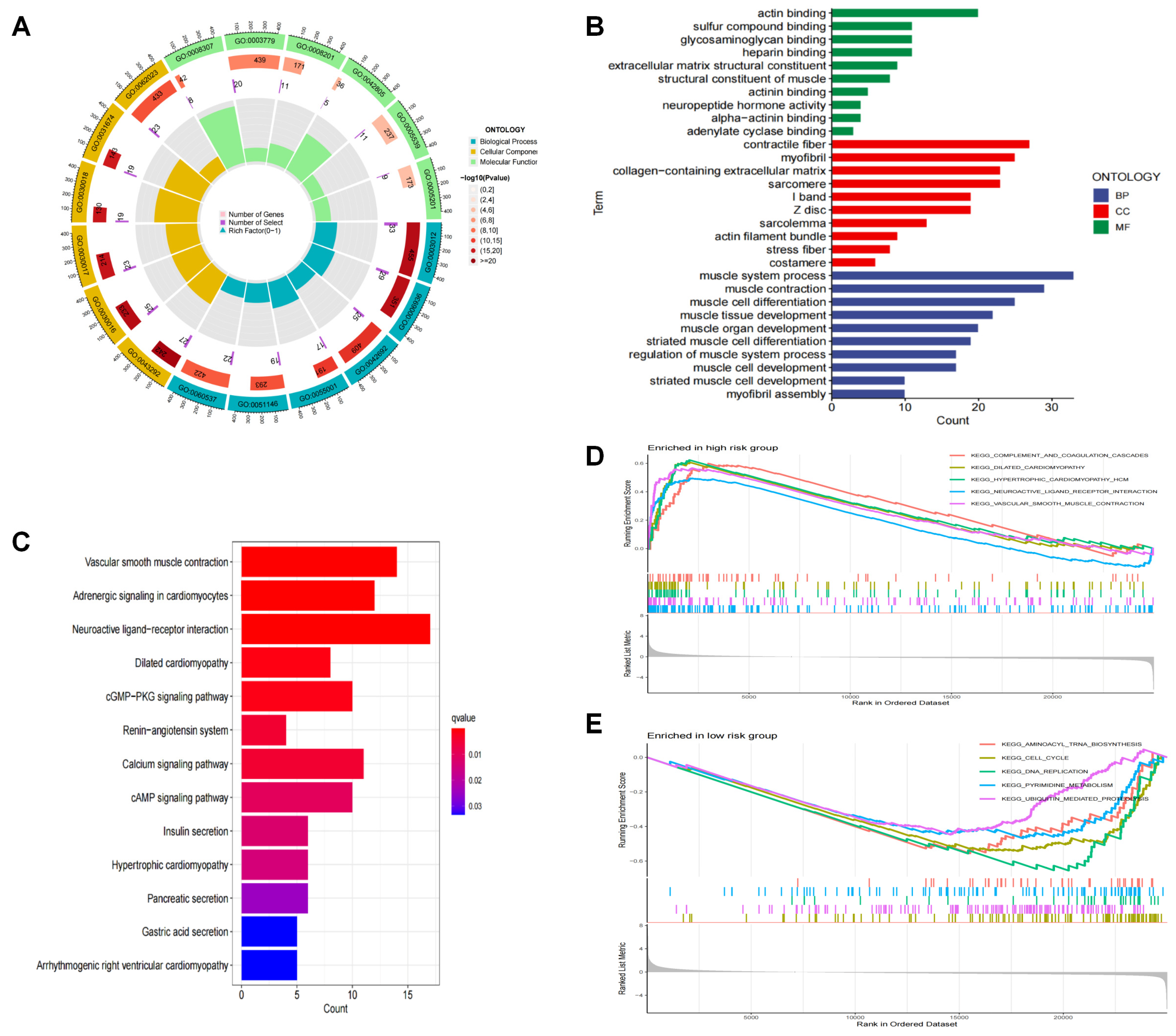 Biomedicines 11 03165 g006