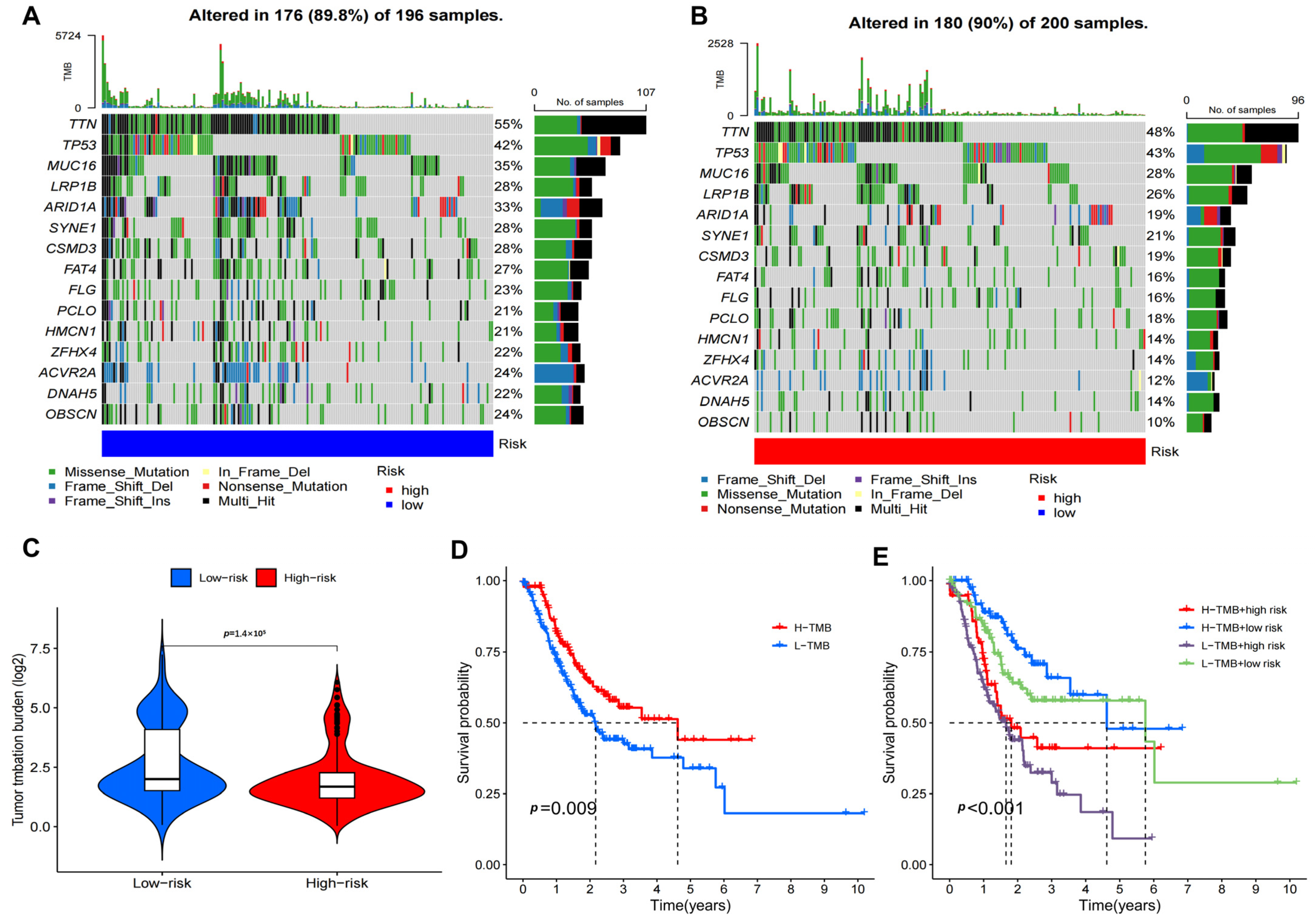 Biomedicines 11 03165 g007