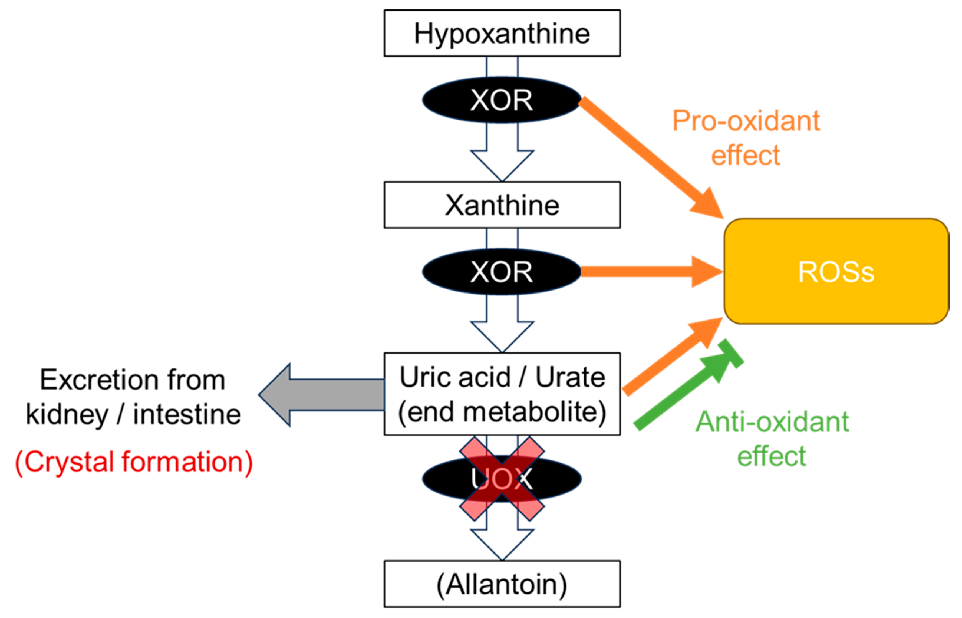 Biomedicines 11 03169 g002