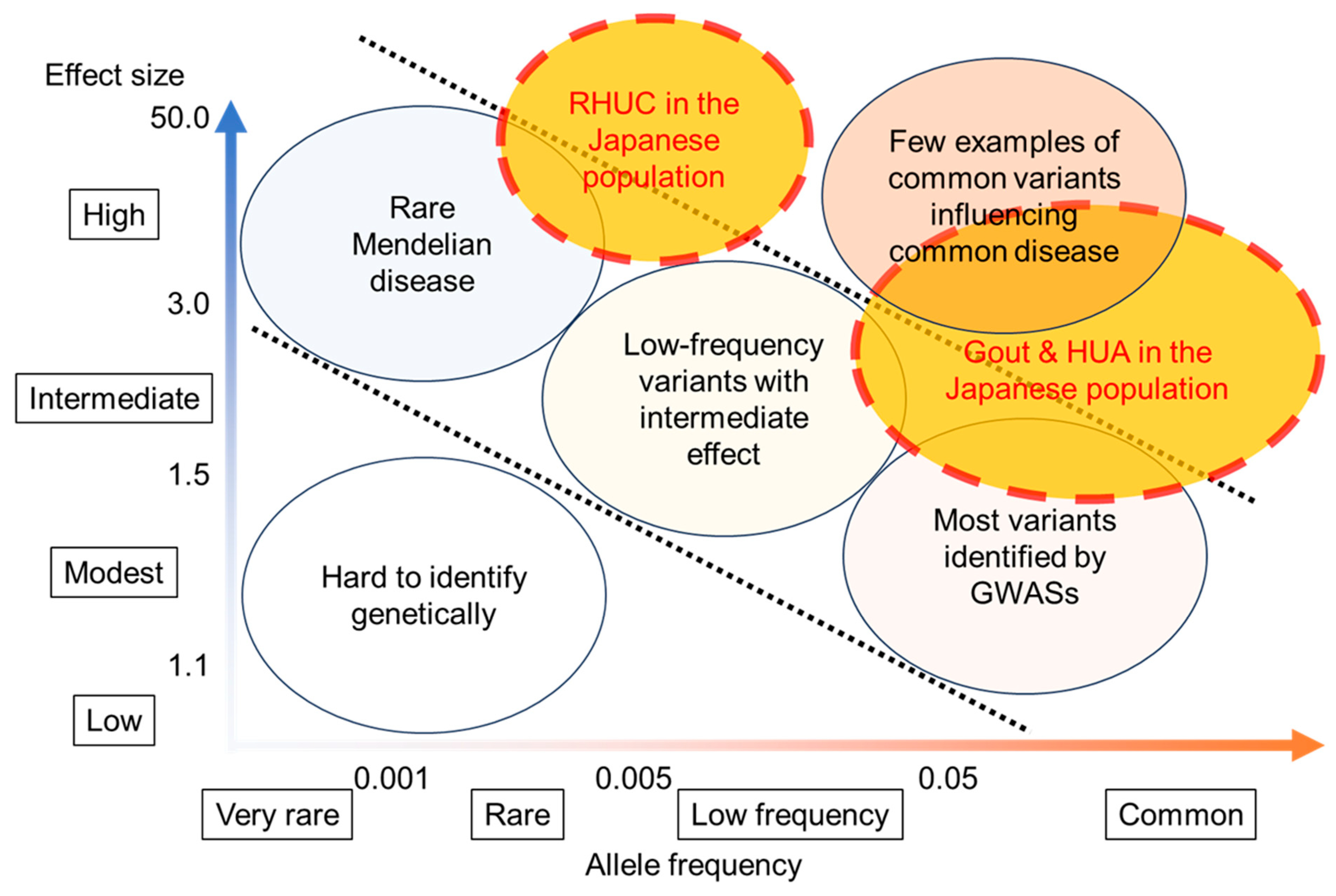 Biomedicines 11 03169 g005