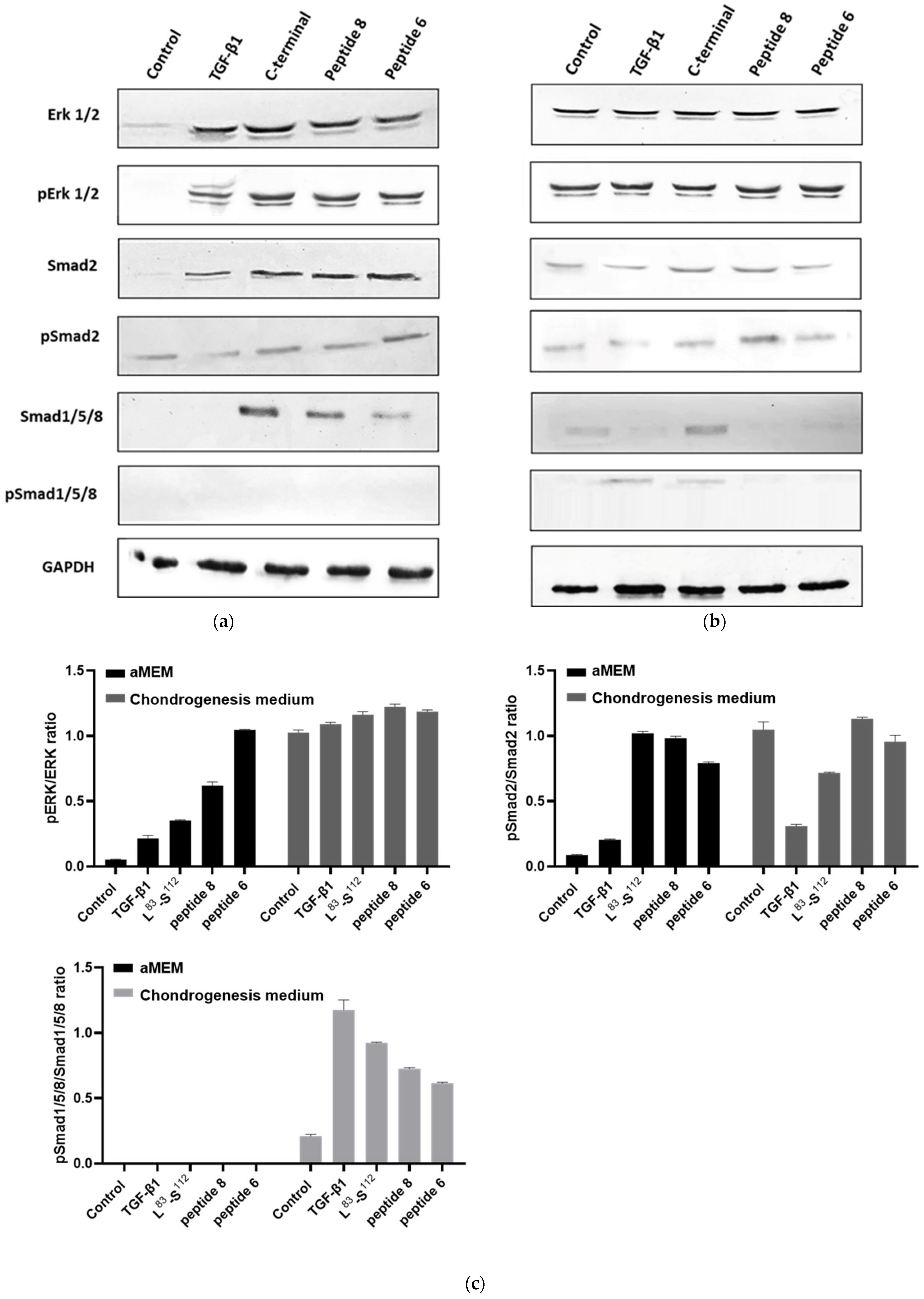 Biomedicines 11 03182 g011 Biomedicines 11 03182 g011