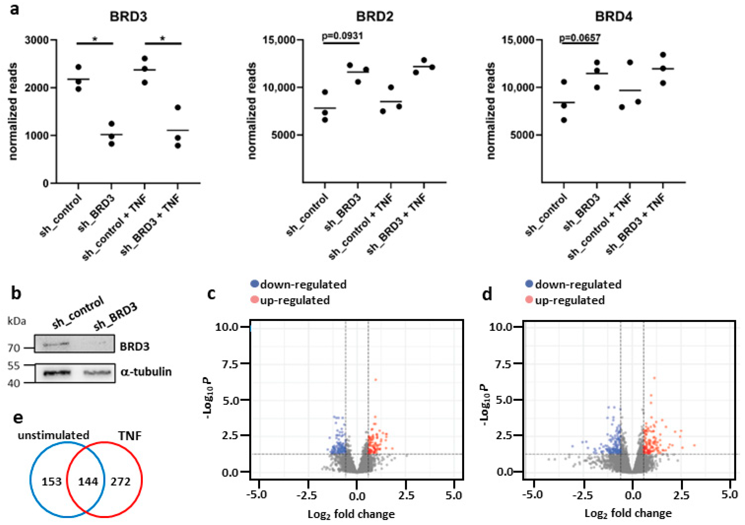 Biomedicines 11 03188 g001