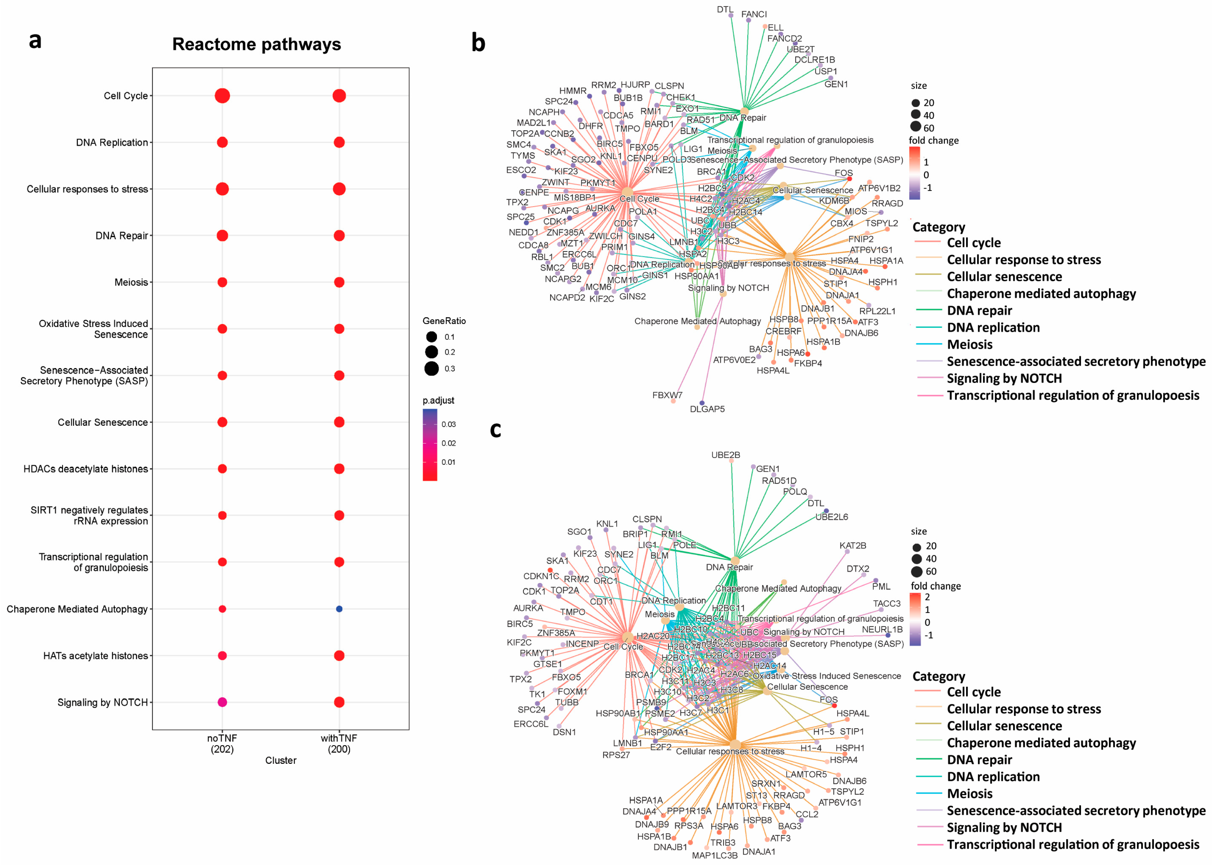 Biomedicines 11 03188 g002