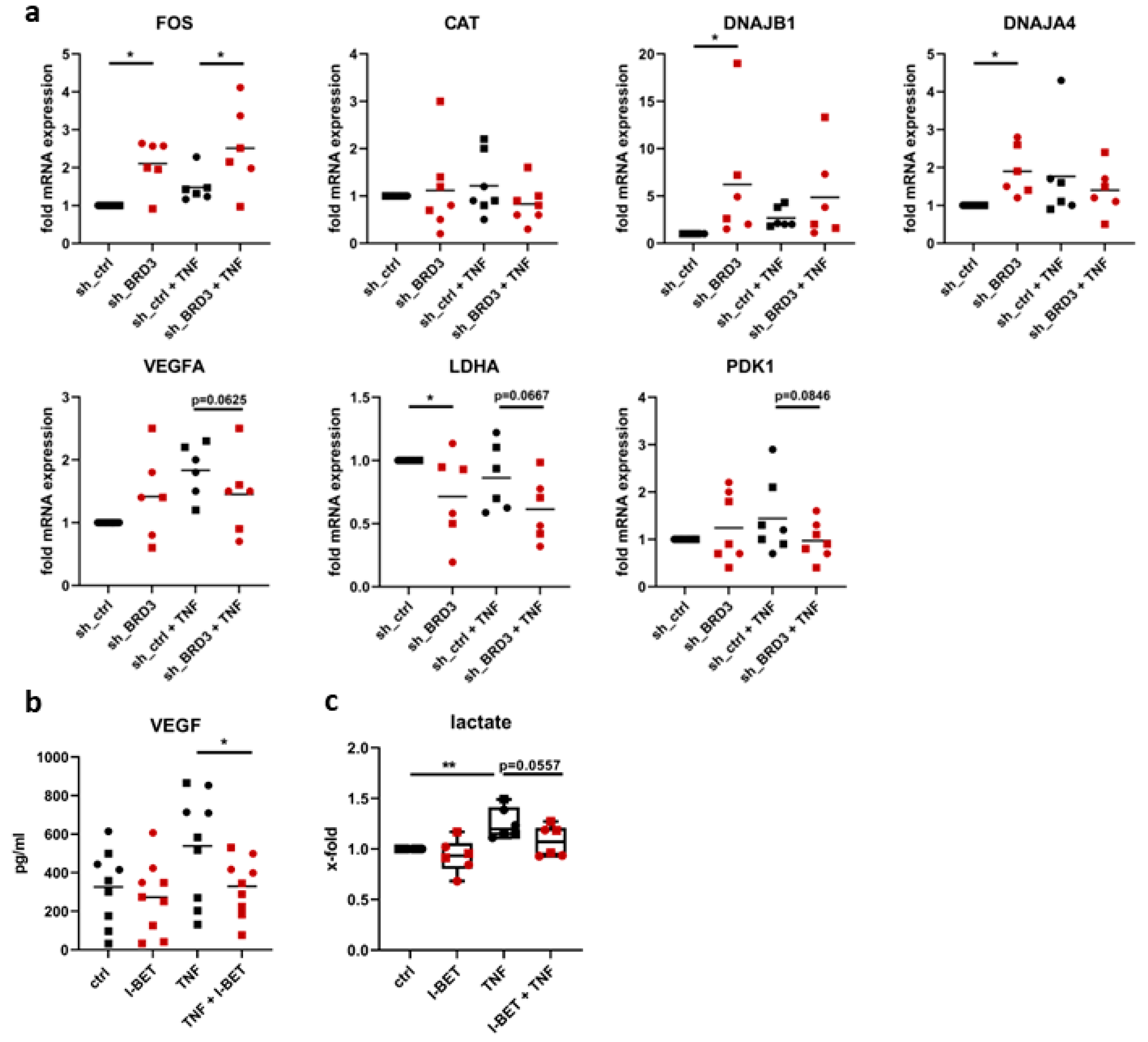 Biomedicines 11 03188 g005