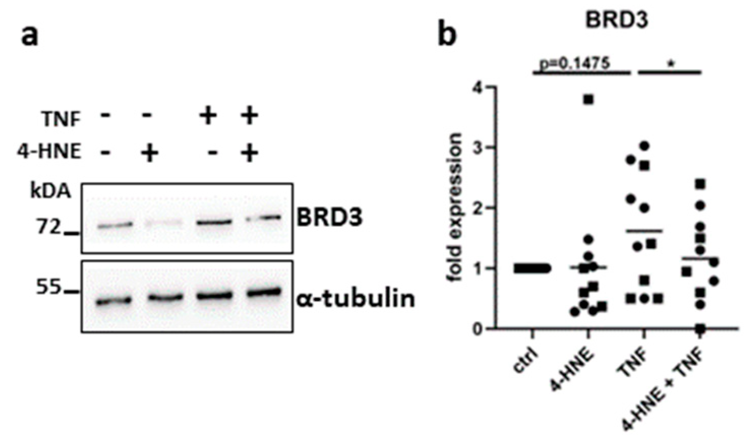 Biomedicines 11 03188 g006