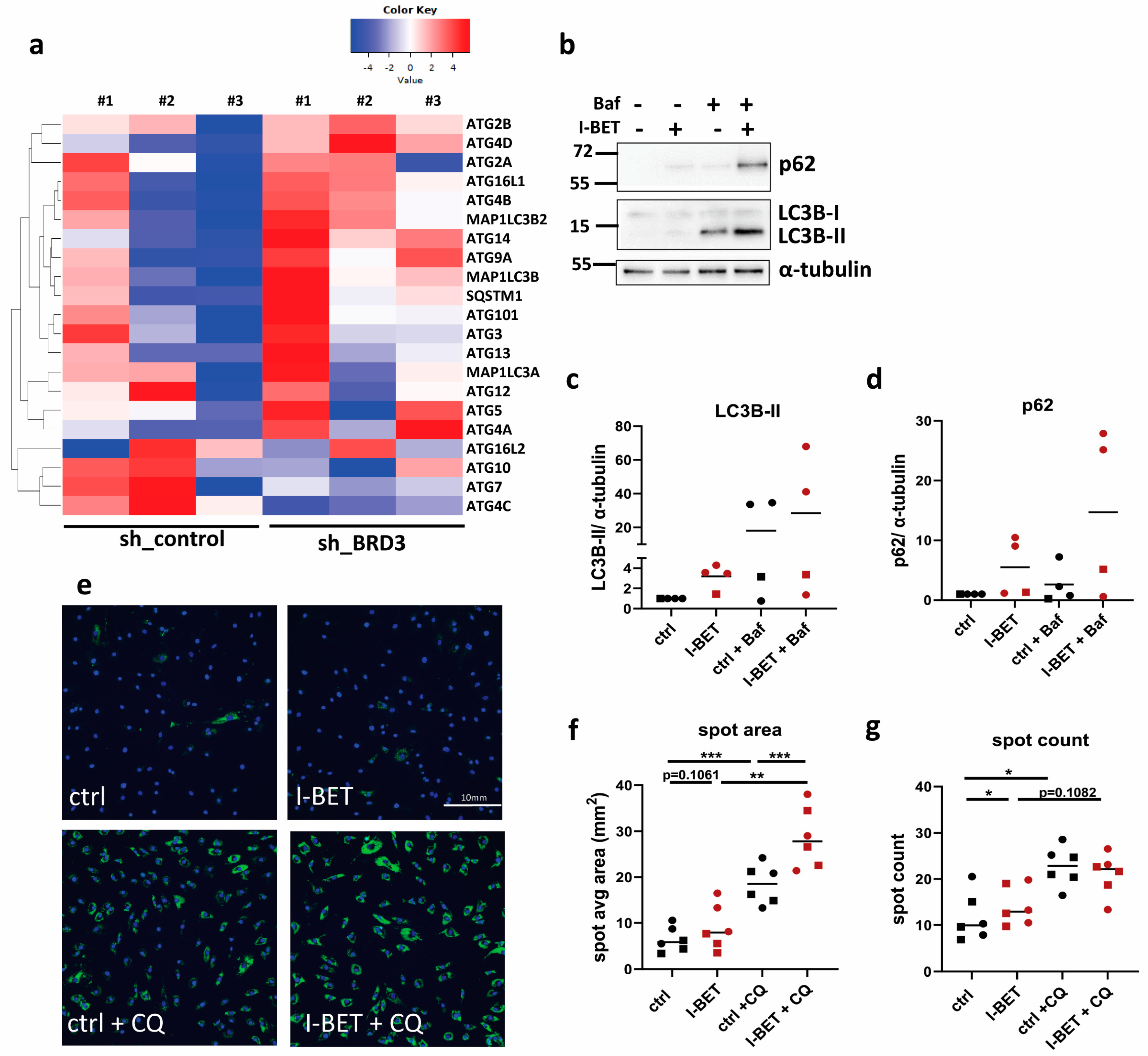 Biomedicines 11 03188 g007